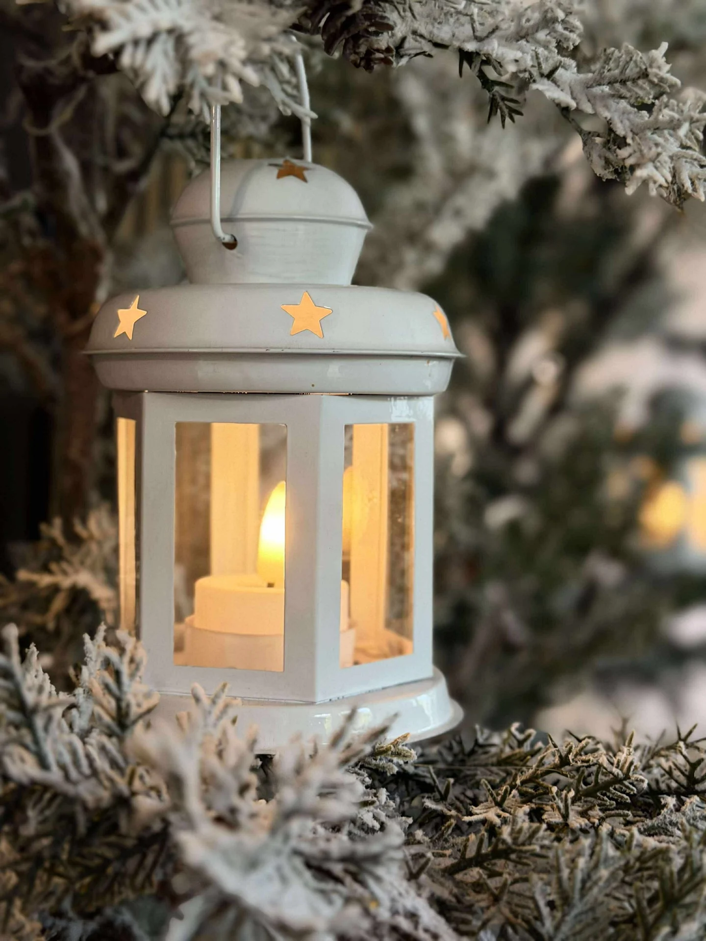 Lanterne White - Image 5