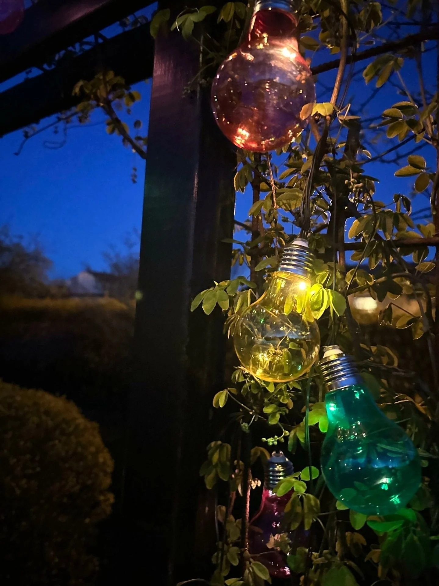 LED Lyskjede med solceller - Utendørs COLOR - Image 3