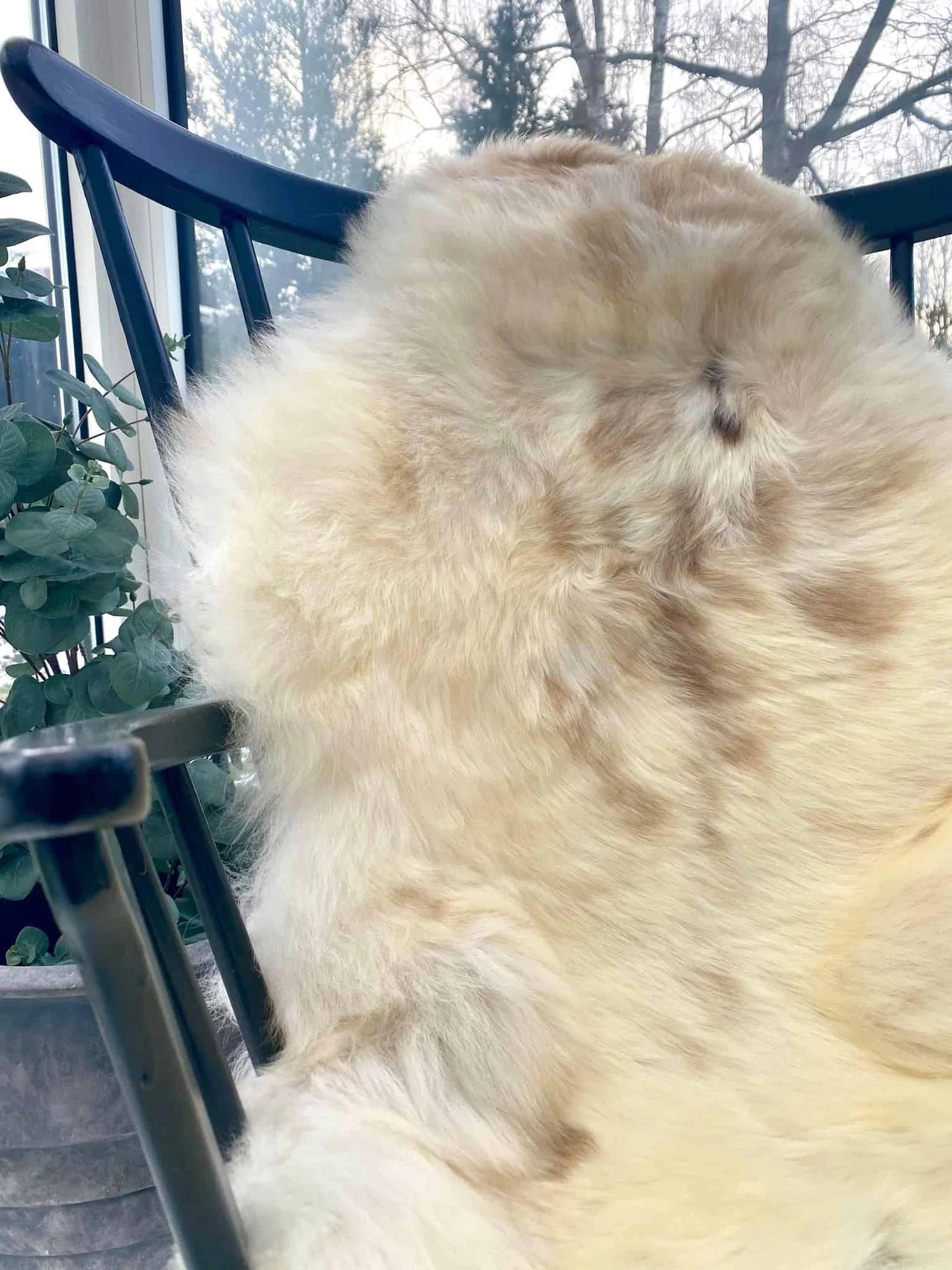 Lekker naturlig lammeskinn - naturhvit med nyanser - Image 4