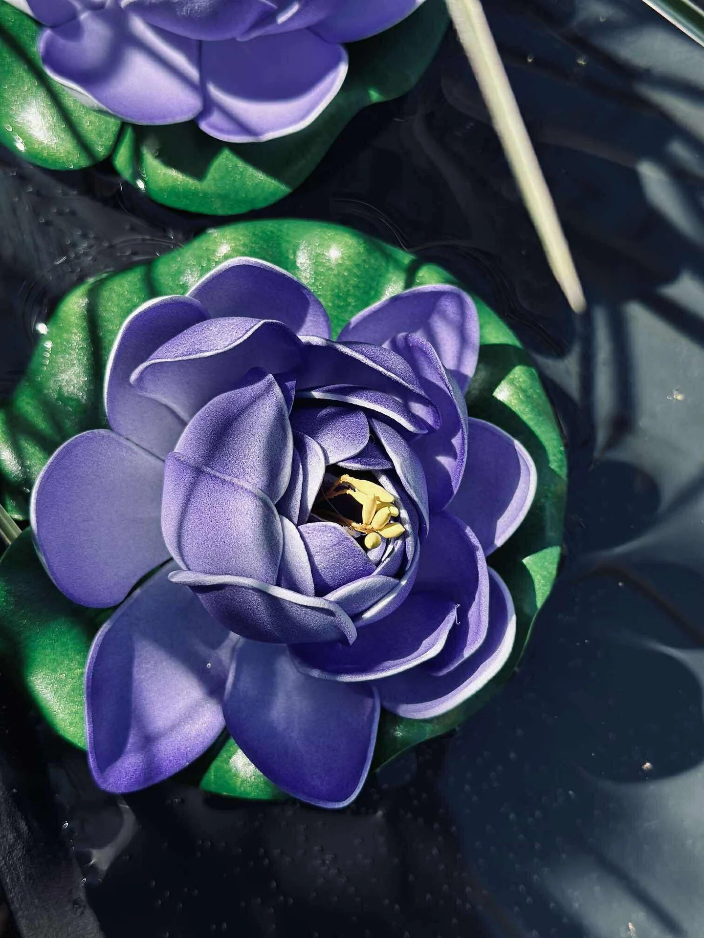 Lotus - Flere farger - Image 16