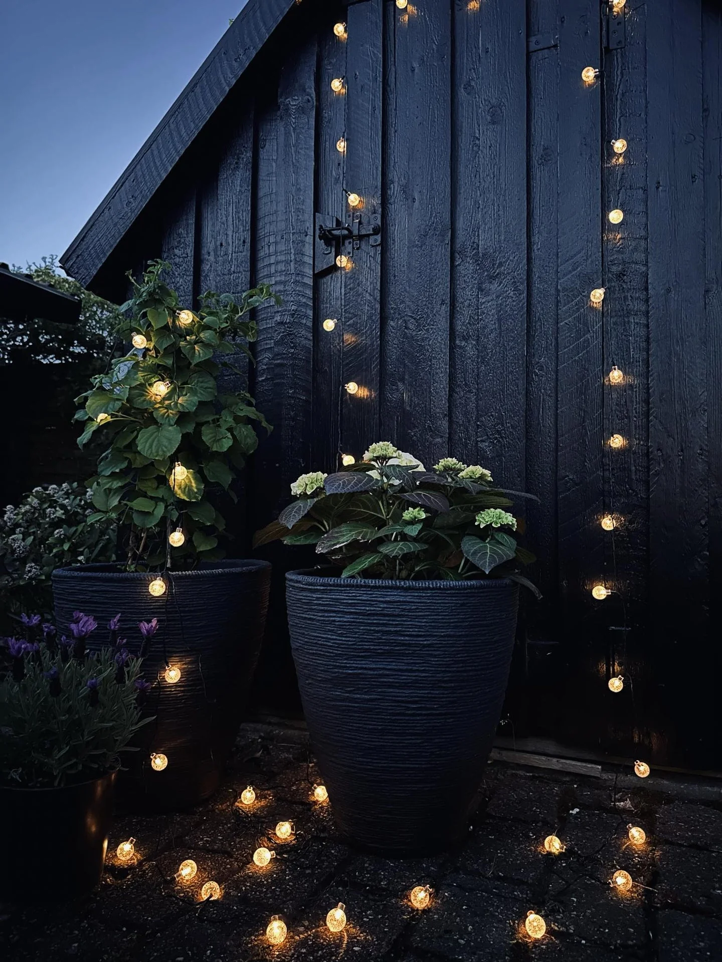 Lyskjede Bella med 50 Pærer – Solceller - Image 2