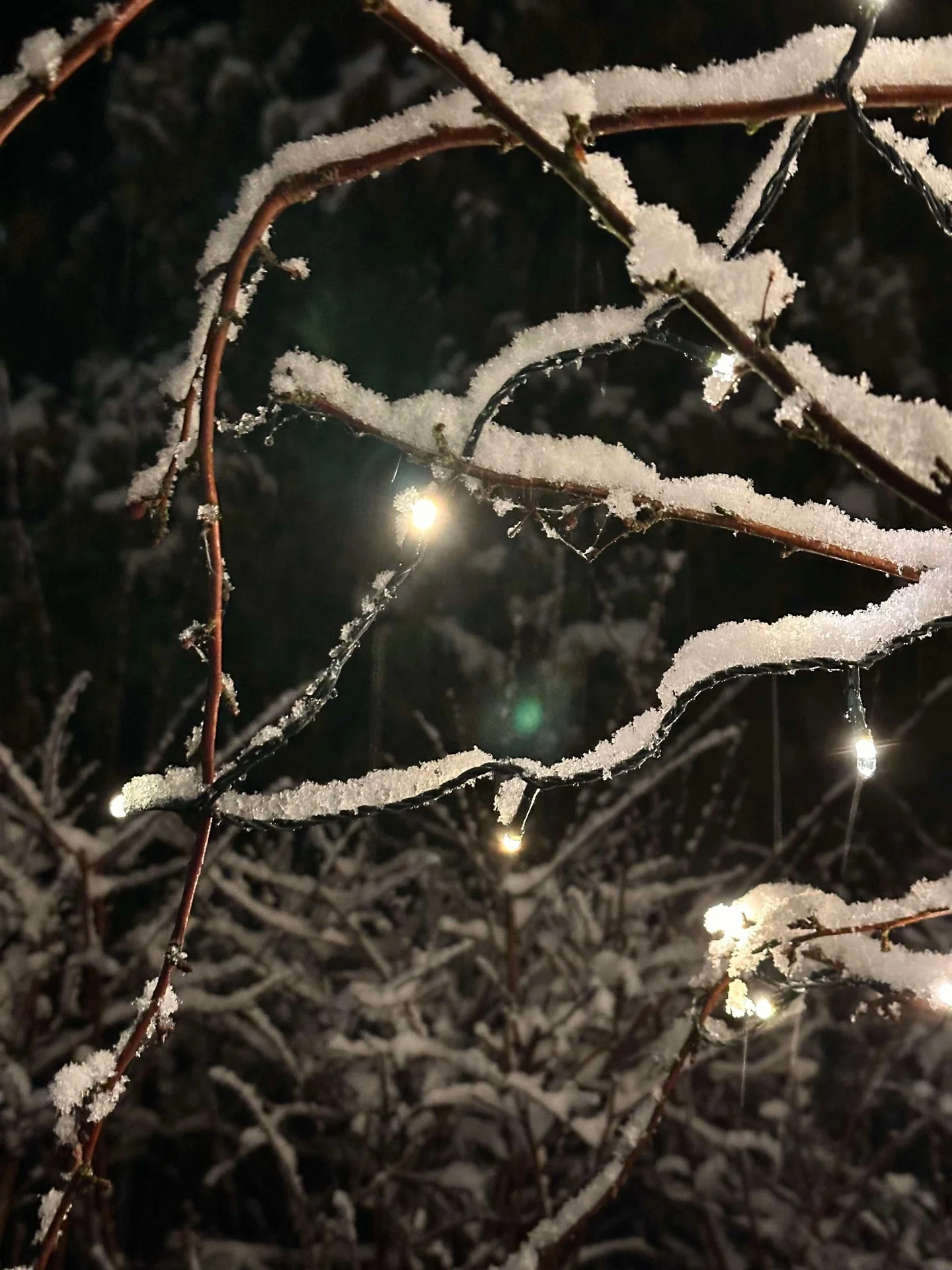 Lyskjede med solceller - Ekstra kraftig med 400 LED-lys - Image 12