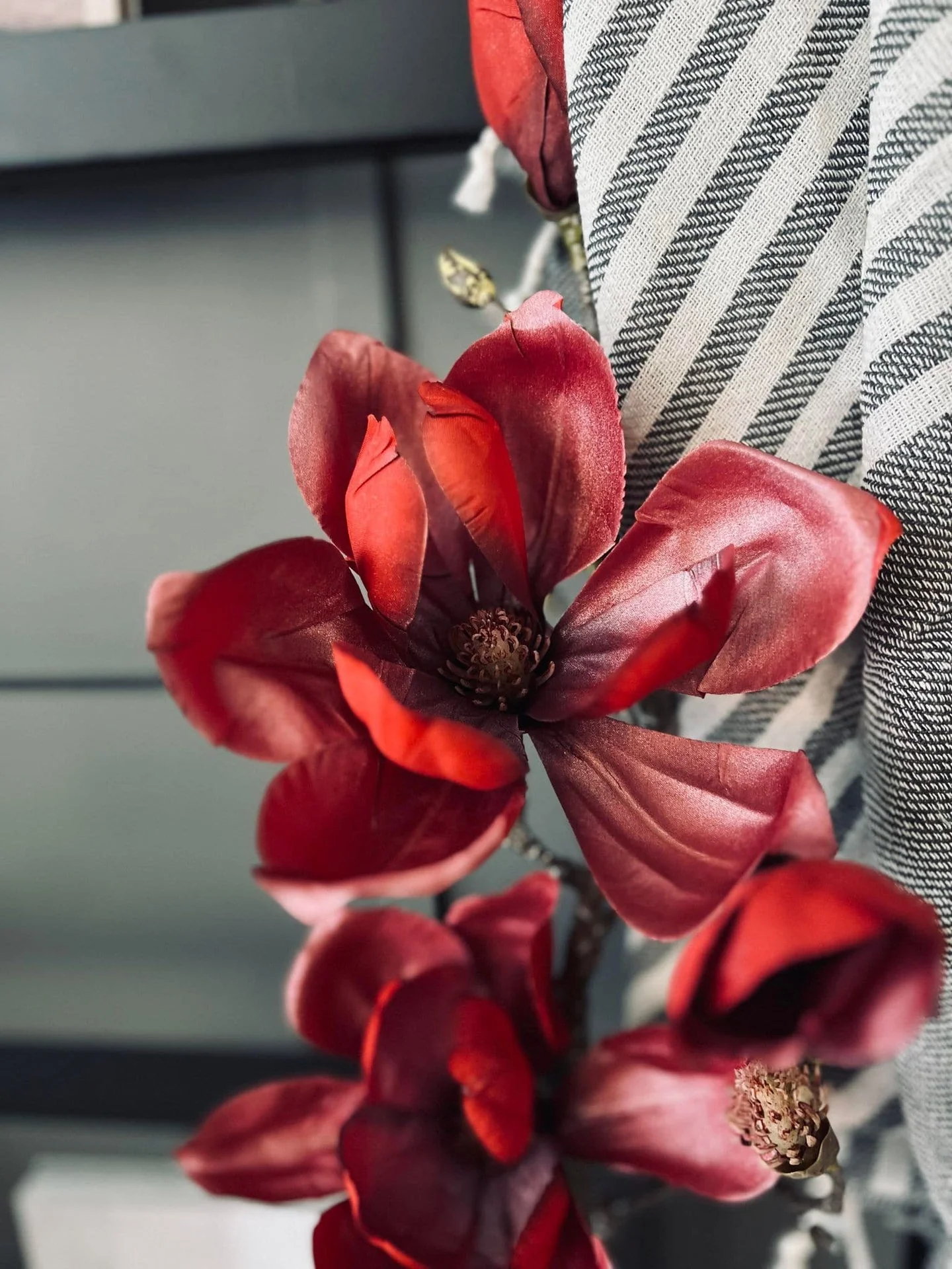 MAGNOLIA 88CM - RØD - Image 2