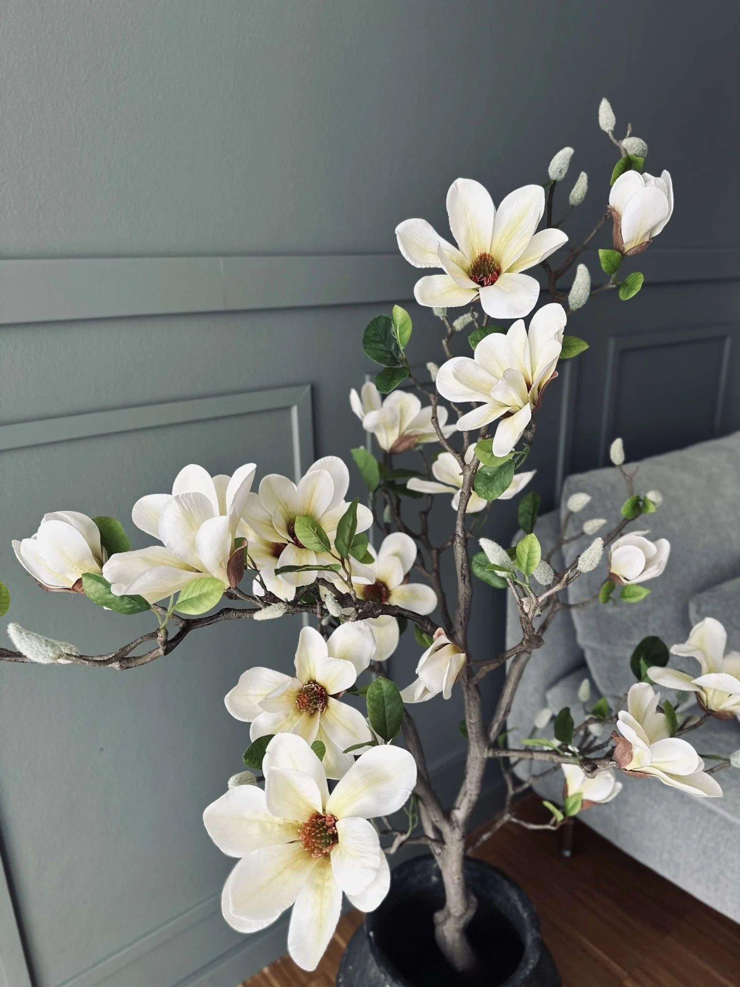 Magnoliatre i potte - 120 cm Hvit / Lime - Image 2