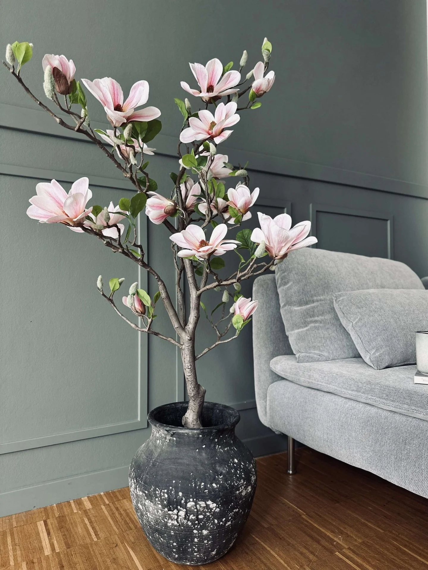 Magnoliatre i potte - 120 cm Rosa - Image 10