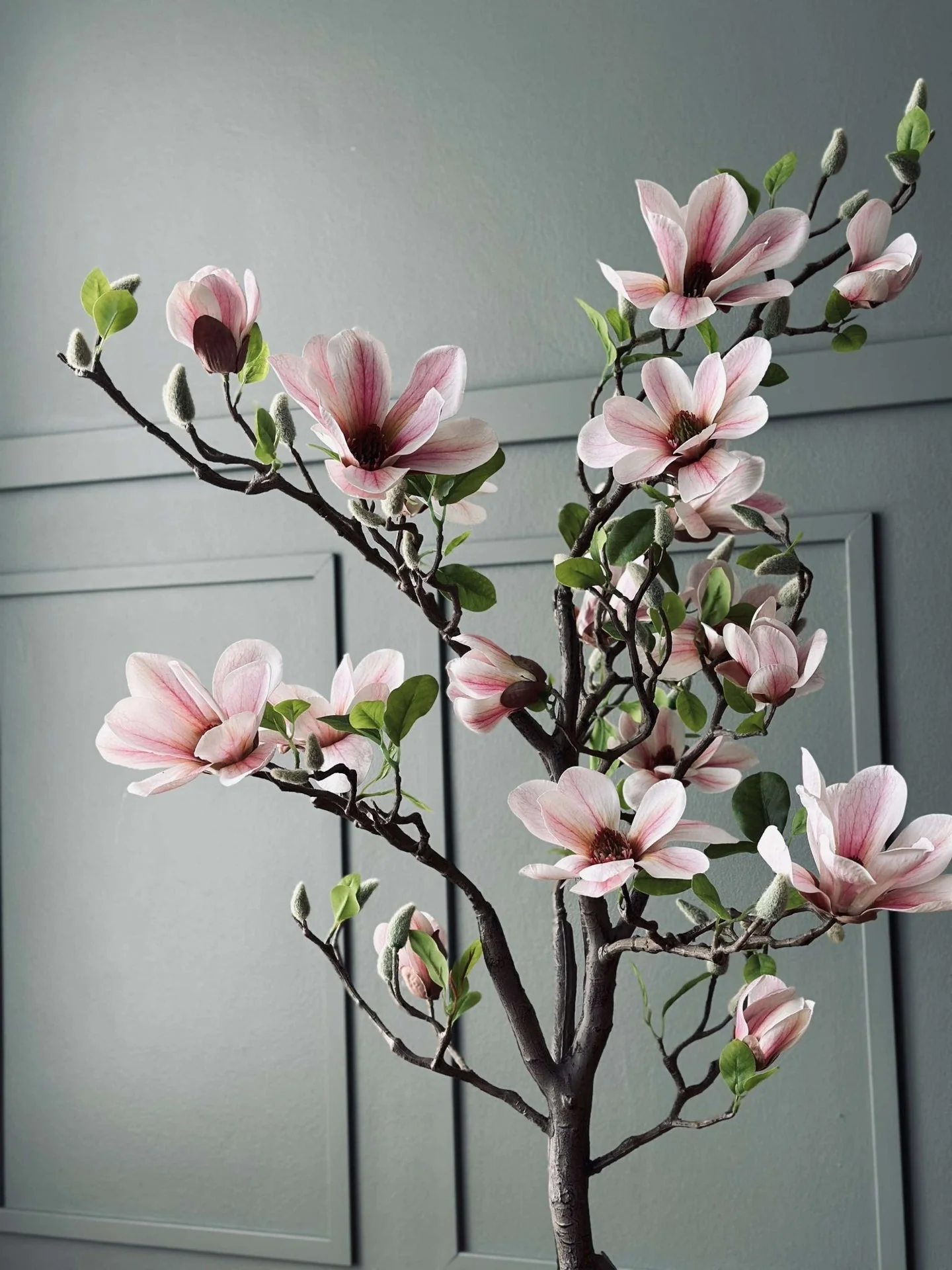 Magnoliatre i potte - 120 cm Rosa - Image 3
