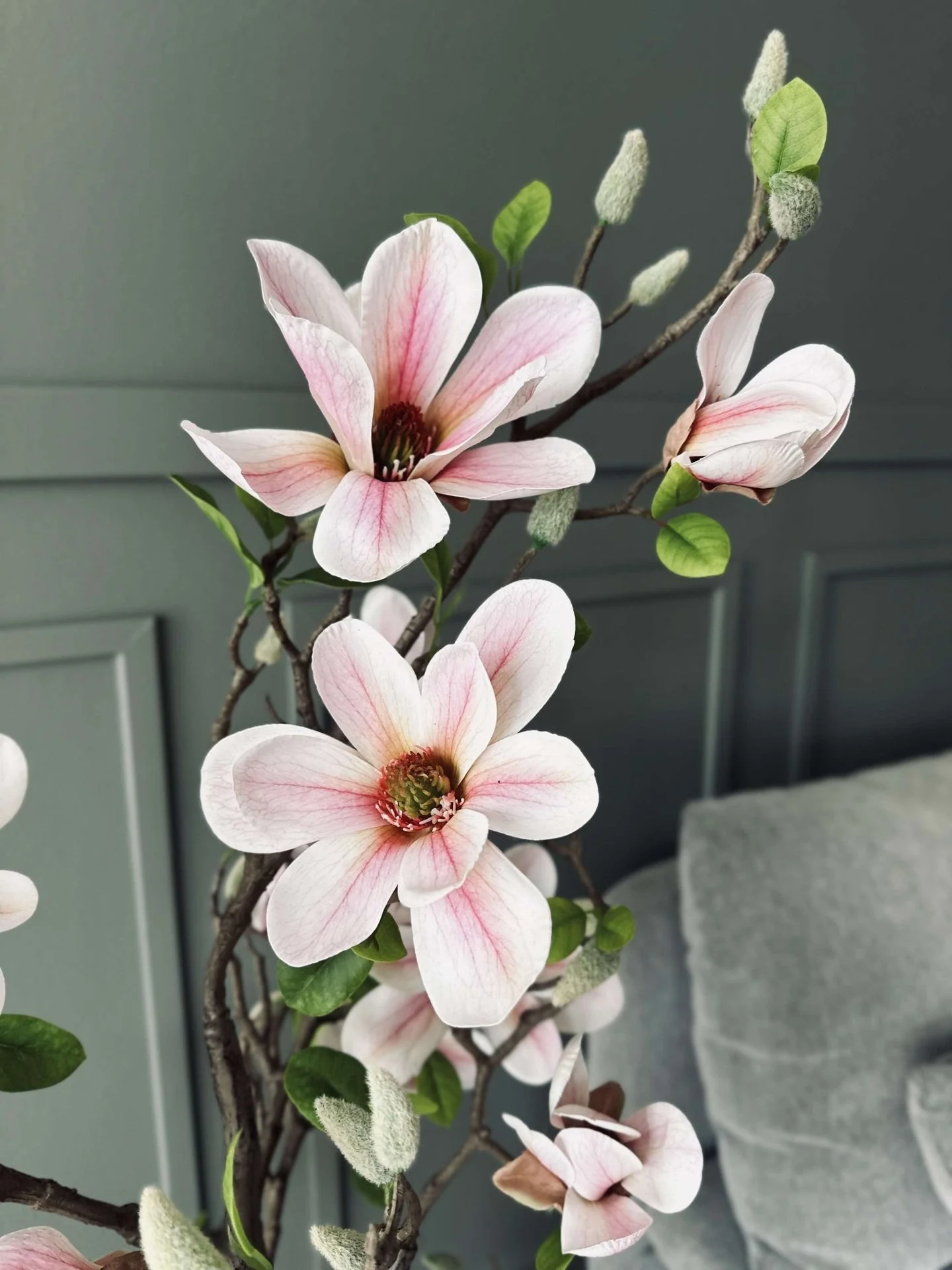 Magnoliatre i potte - 120 cm Rosa - Image 8