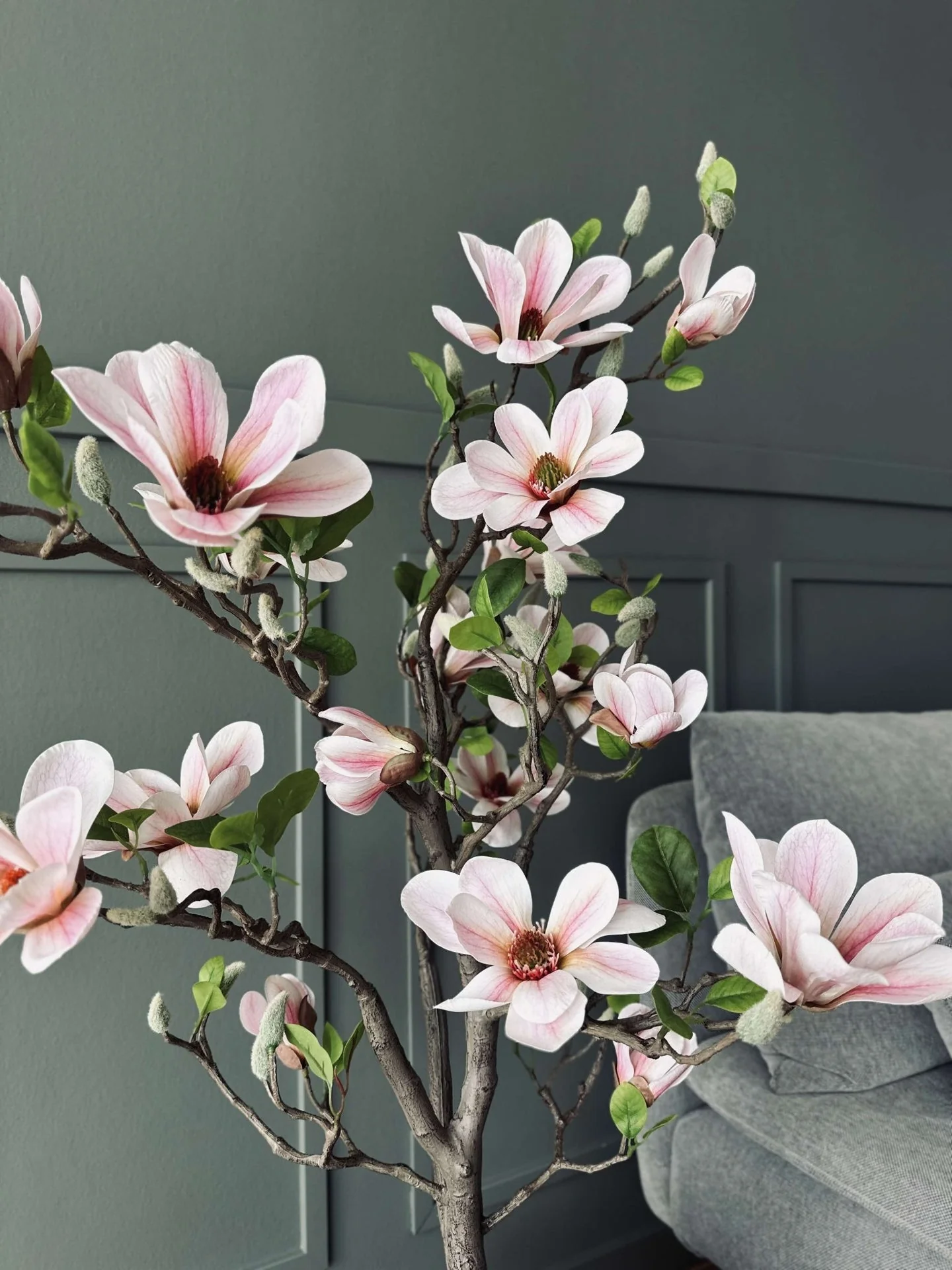 Magnoliatre i potte - 120 cm Rosa - Image 9