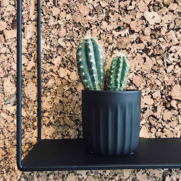 Mini potte - Matt svart - 7x7