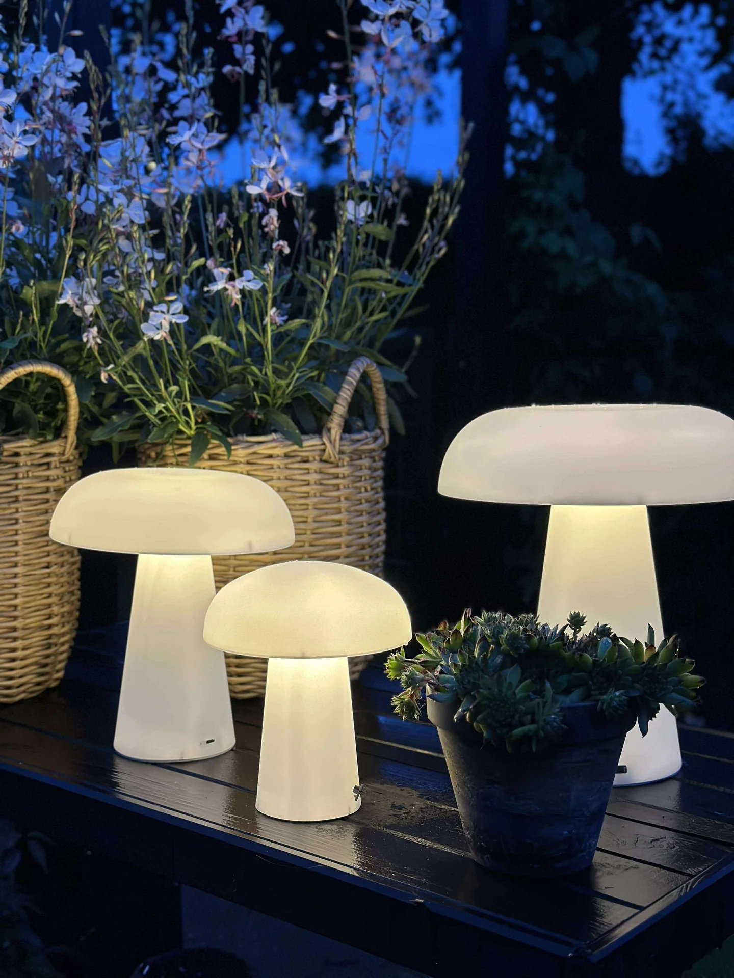 Mushroom oppladbar - Small