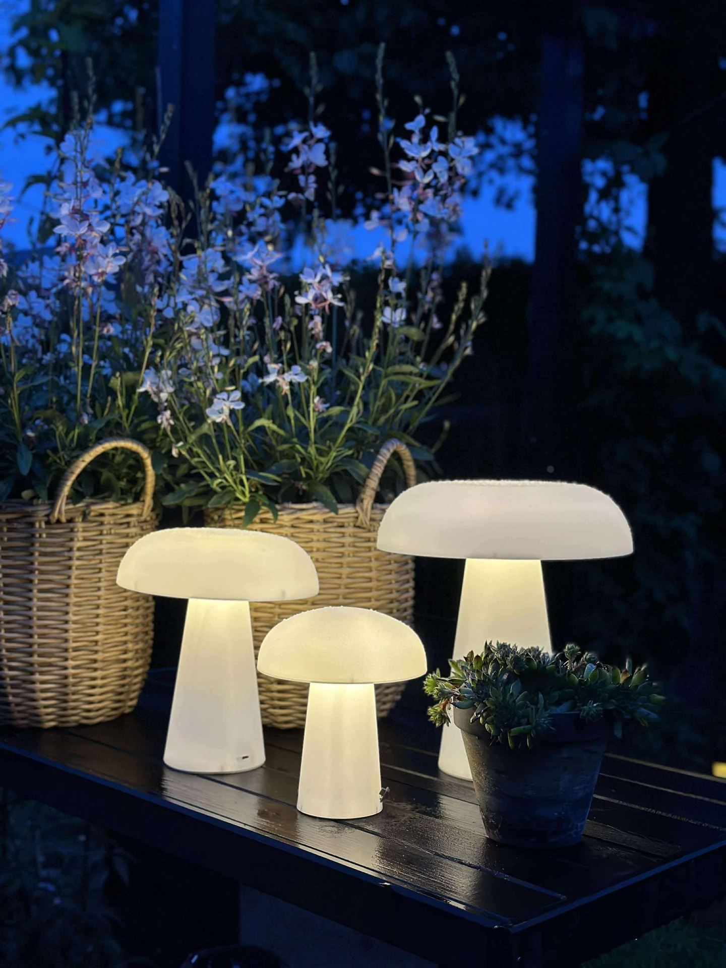 Mushroom oppladbar - XL - Image 6