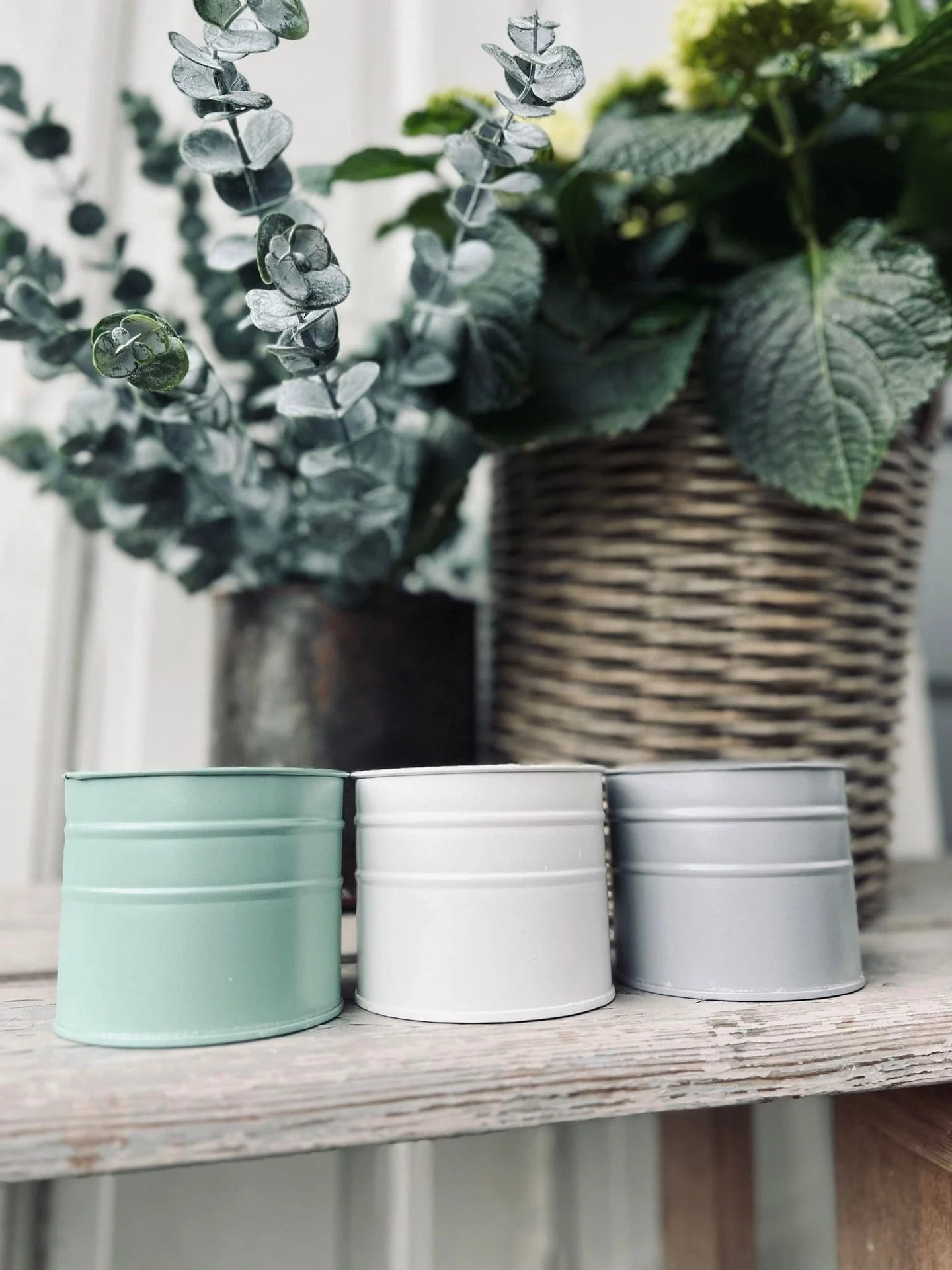 Mygglys Citronella - Dus fargemiks