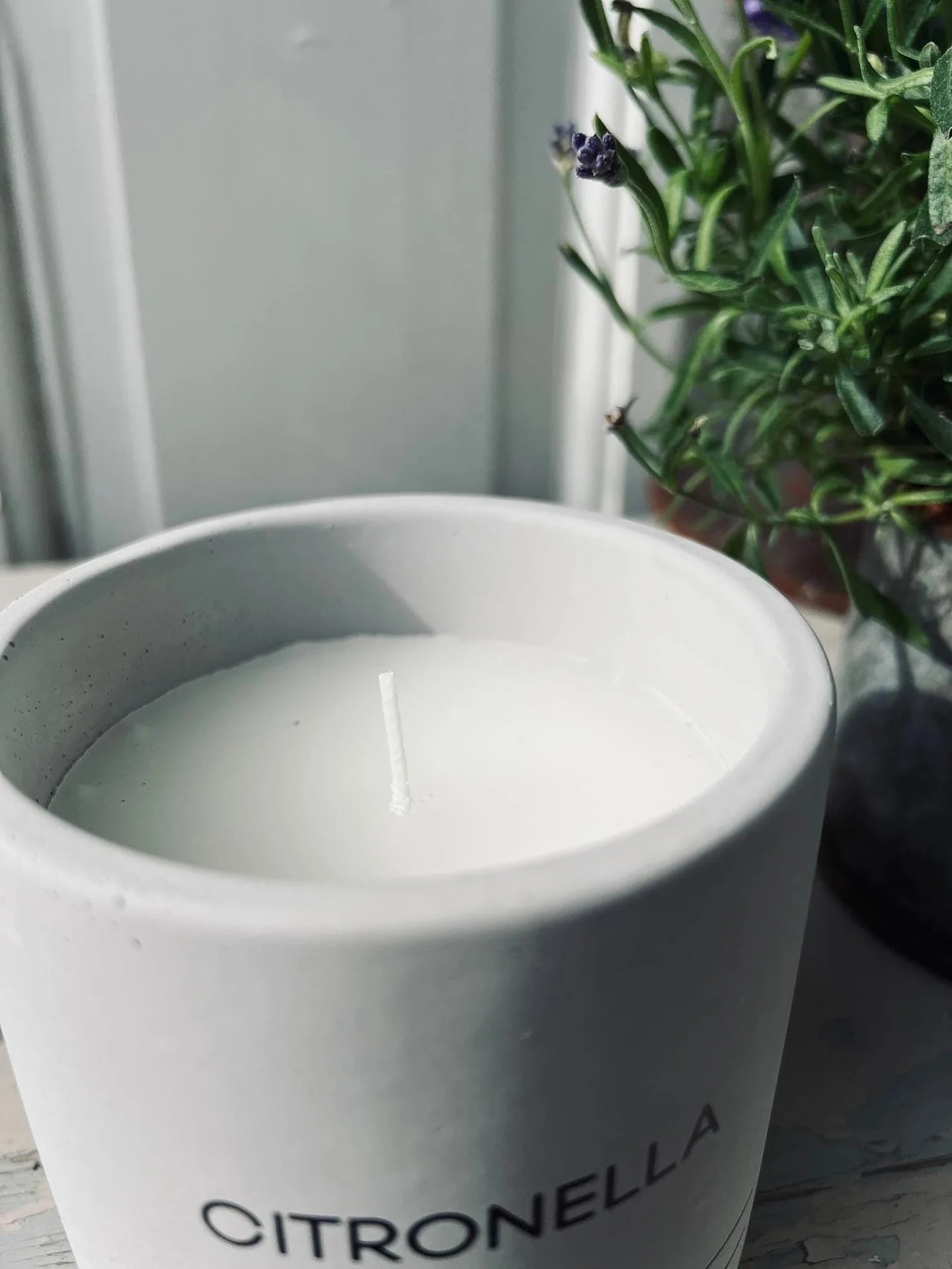 Mygglys - Citronella & Sea salt - Hvit - Image 2