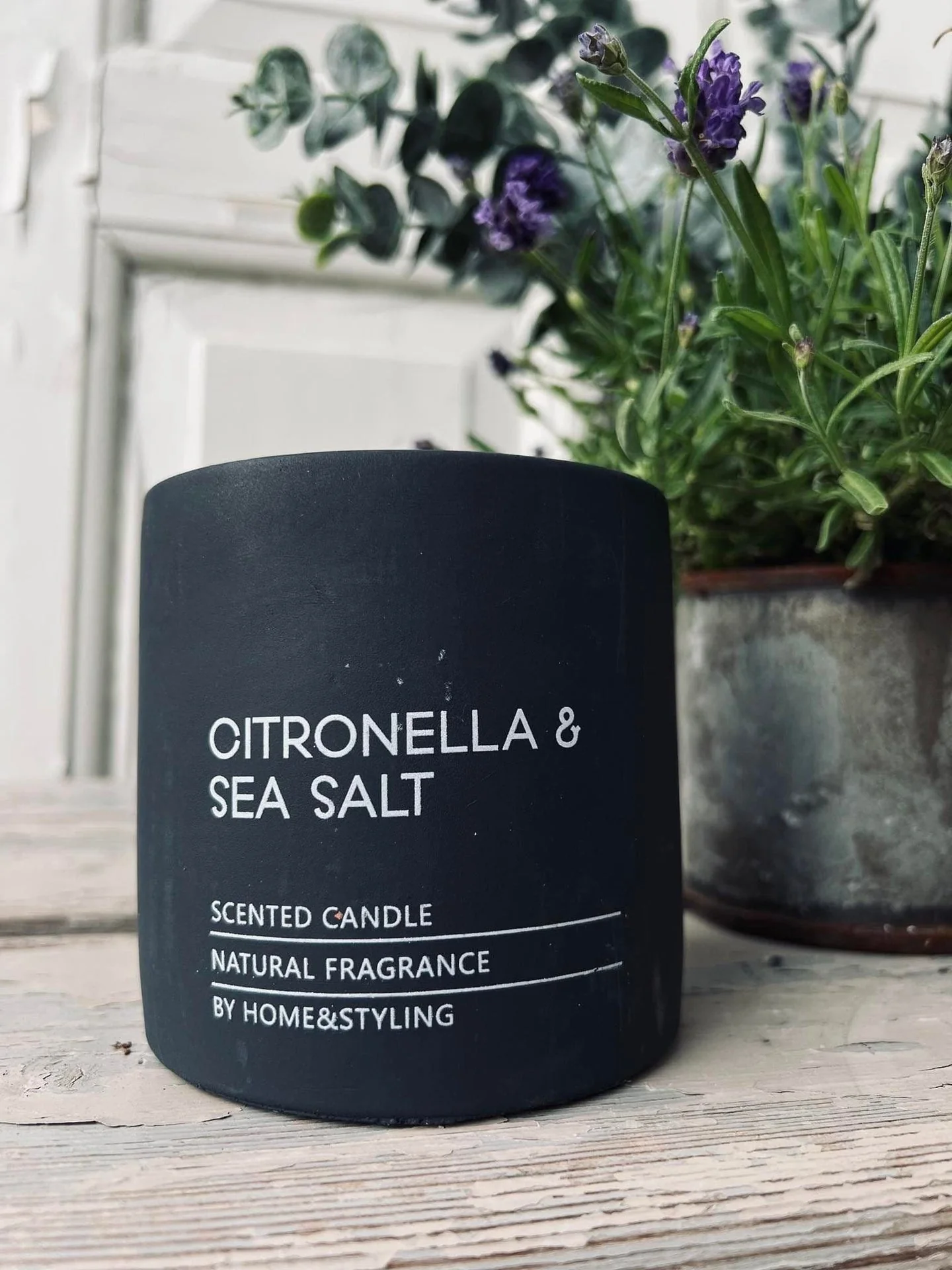 Myggelys - Citronella & Sea salt - Svart