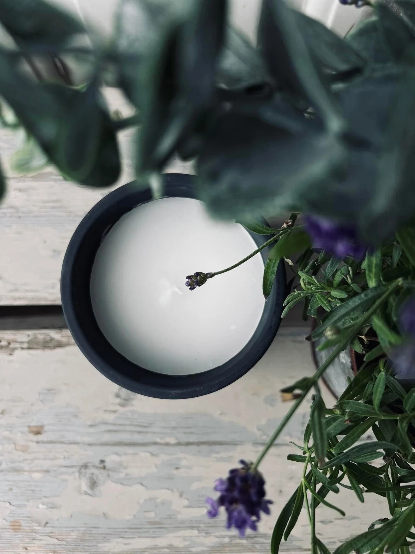 Myggelys - Citronella & Sea salt - Svart - Image 3