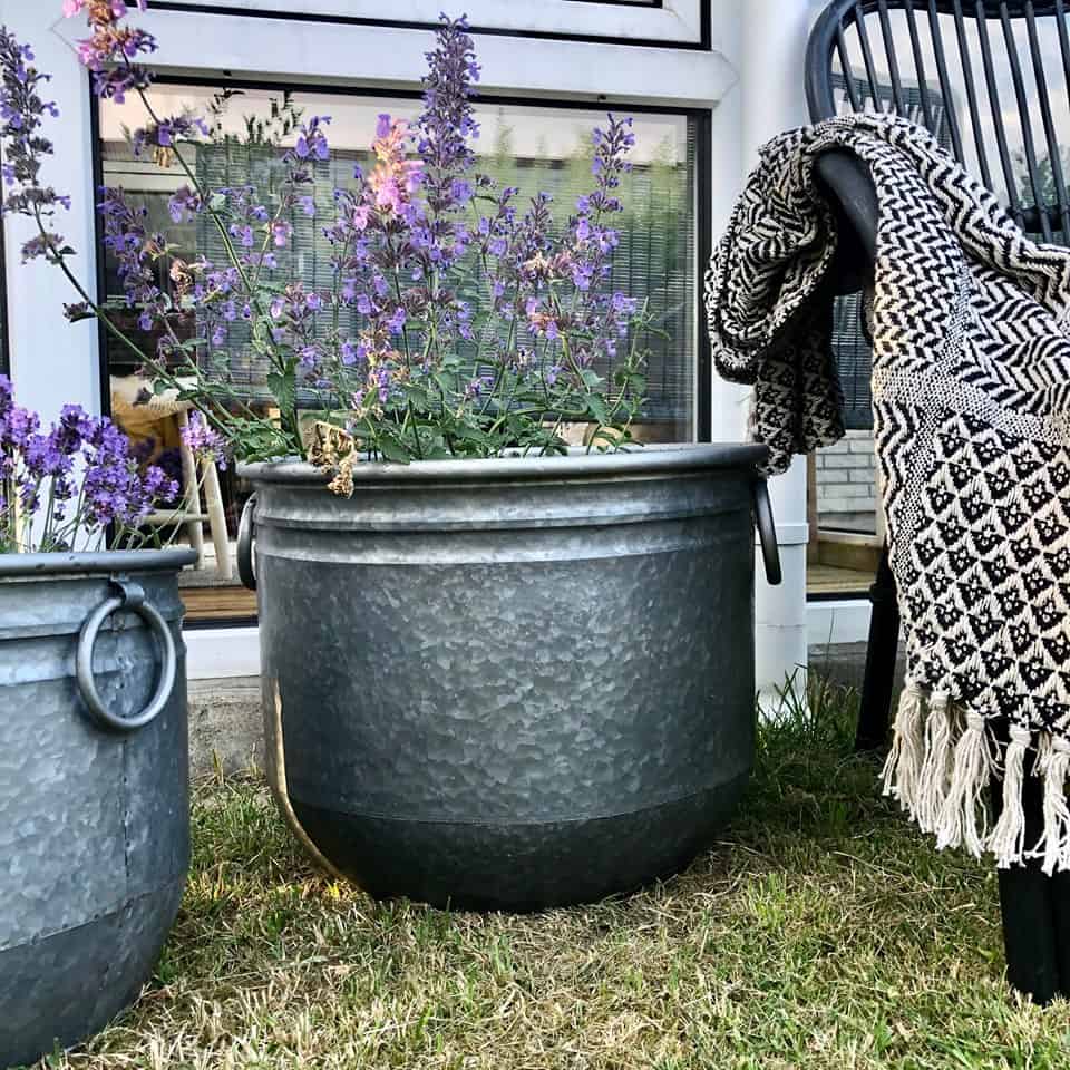 Rustikk blomsterbalje i sink – Mellomstor