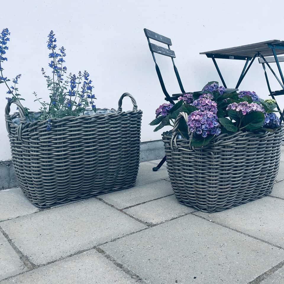 Stor plantekurv i rattan