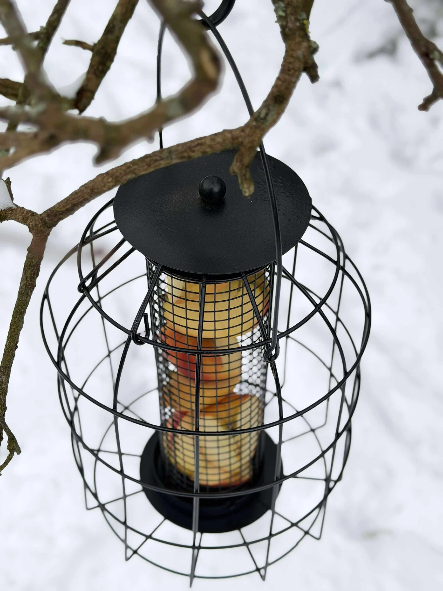 Oppheng til fuglemat - Image 3