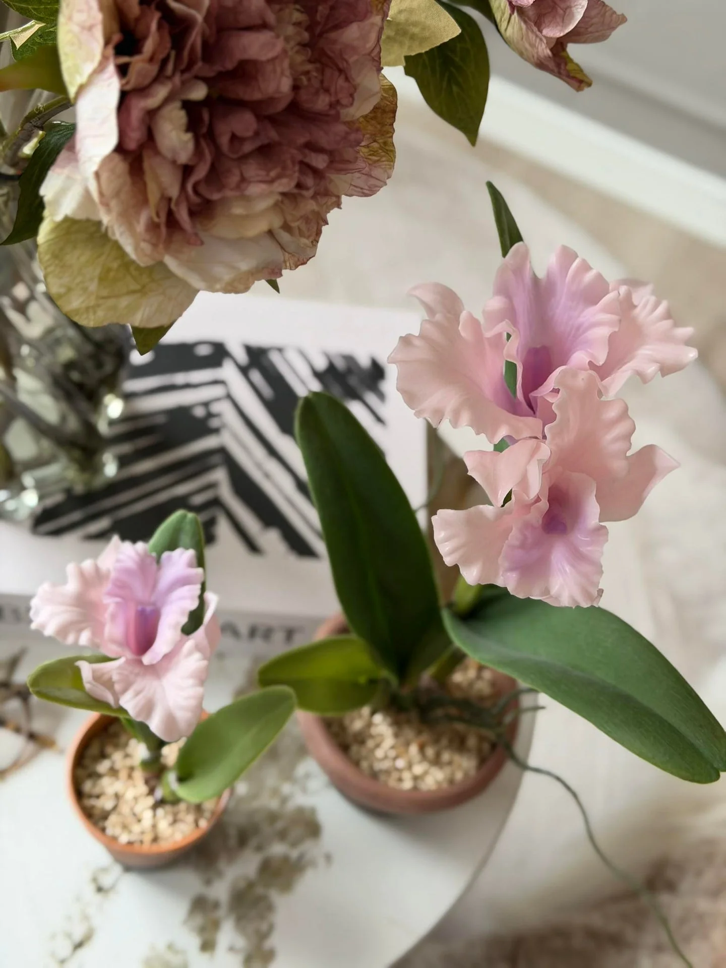 Orkidé i potte rosa - Flere størrelser - Image 2