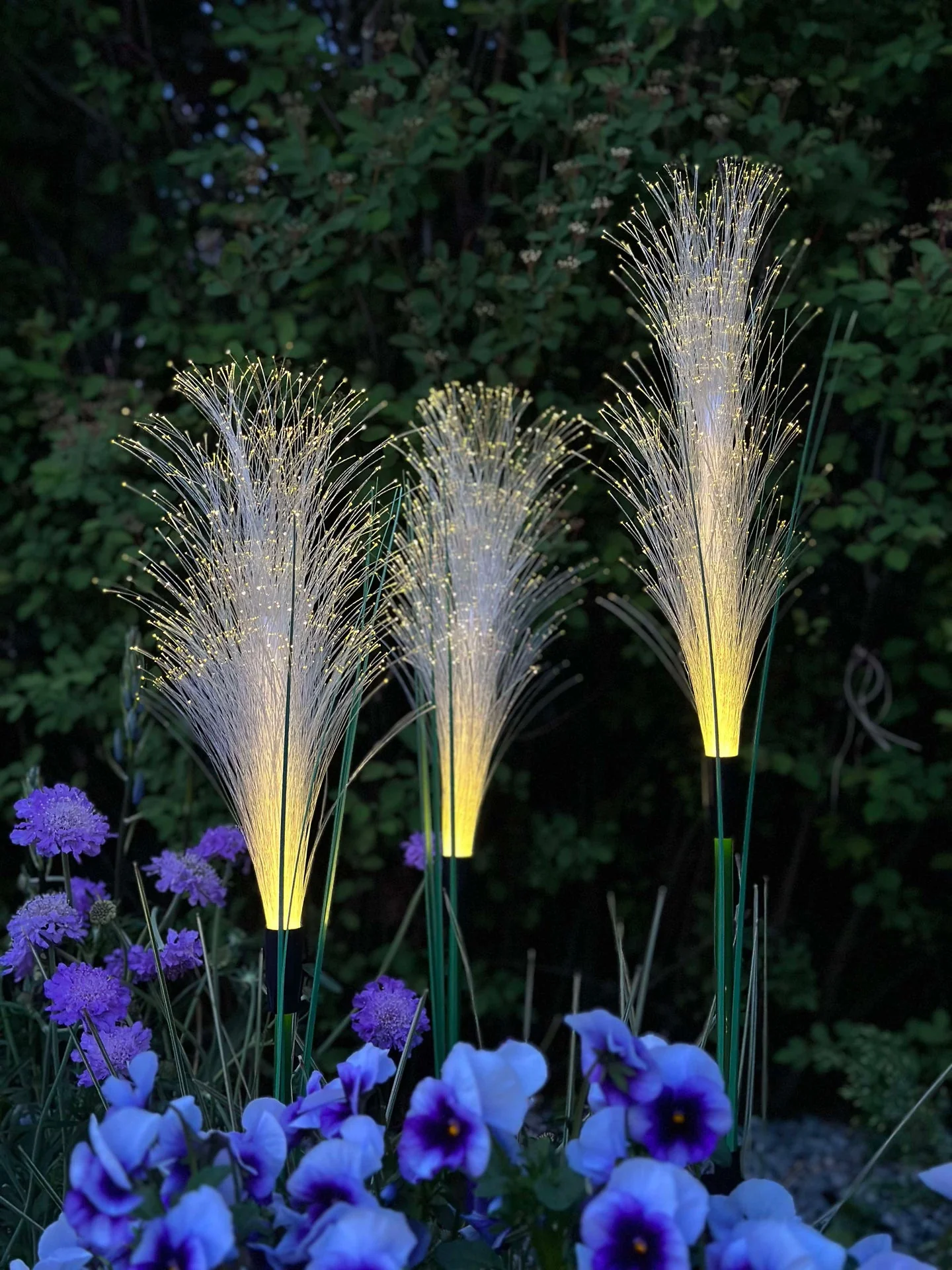 Pampas med solceller - Image 4