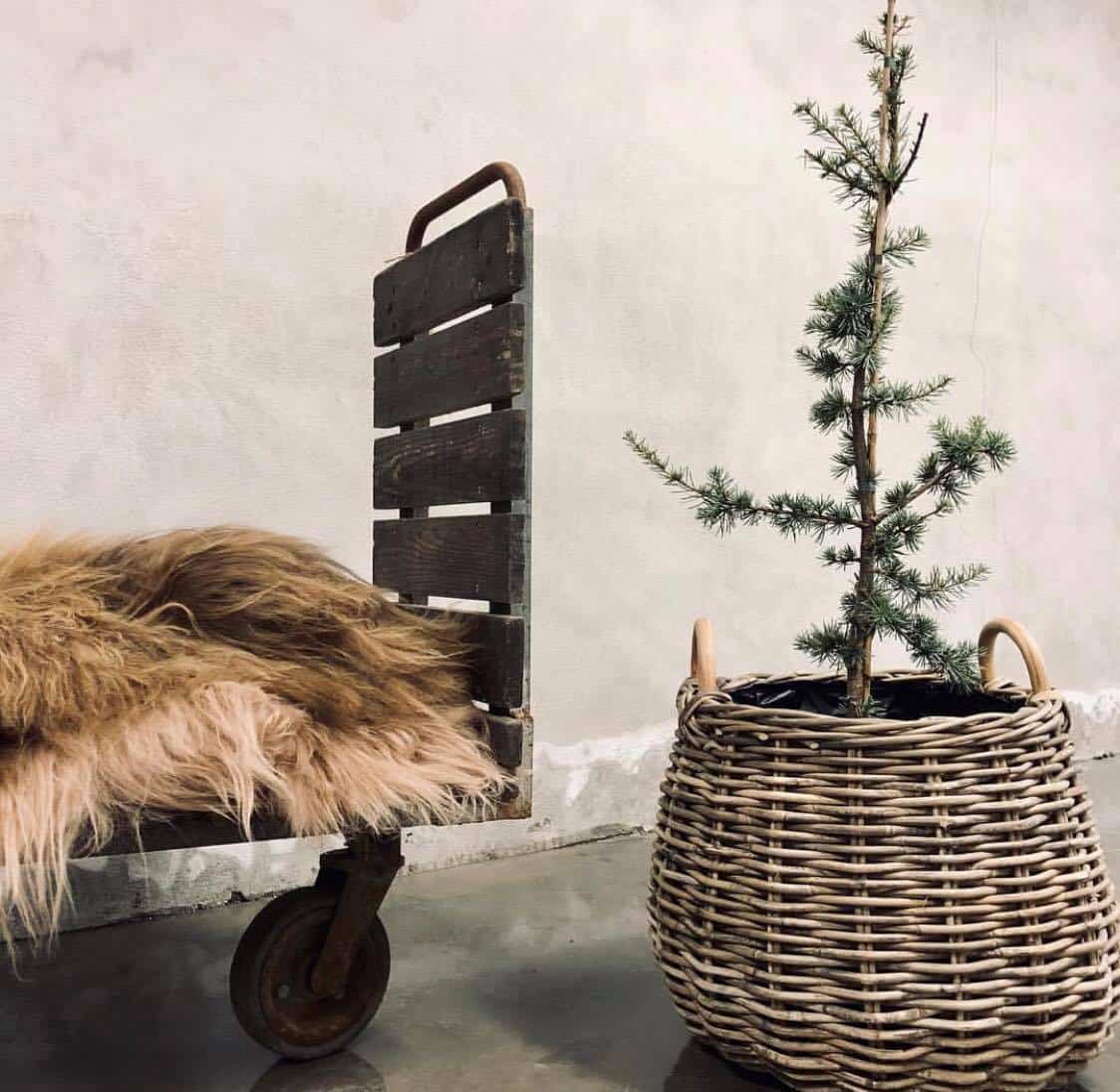 Plantekurv dråpeformet - Stor - Image 4