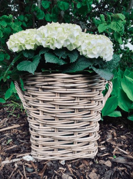 Plantekurv - Grå Rattan - Liten - Image 4