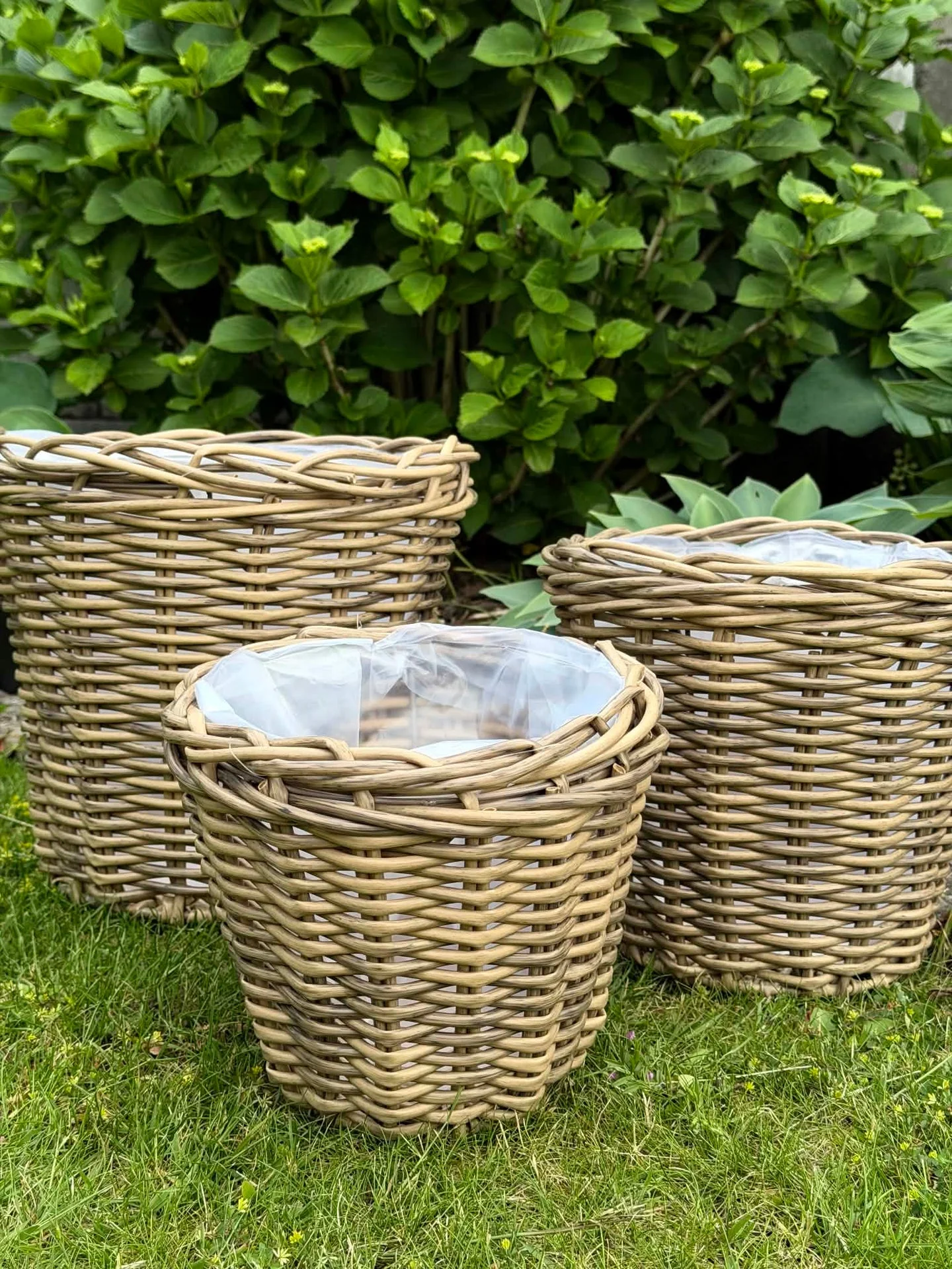 Plantekurver i natur - 3 stk - Image 3