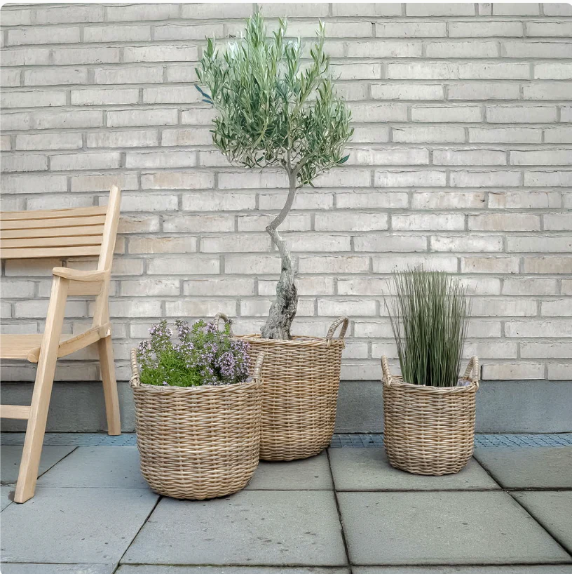 Plantekurver i natur - 3 stk - Image 4