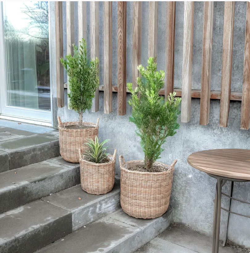 Plantekurver i natur - 3 stk - Image 5