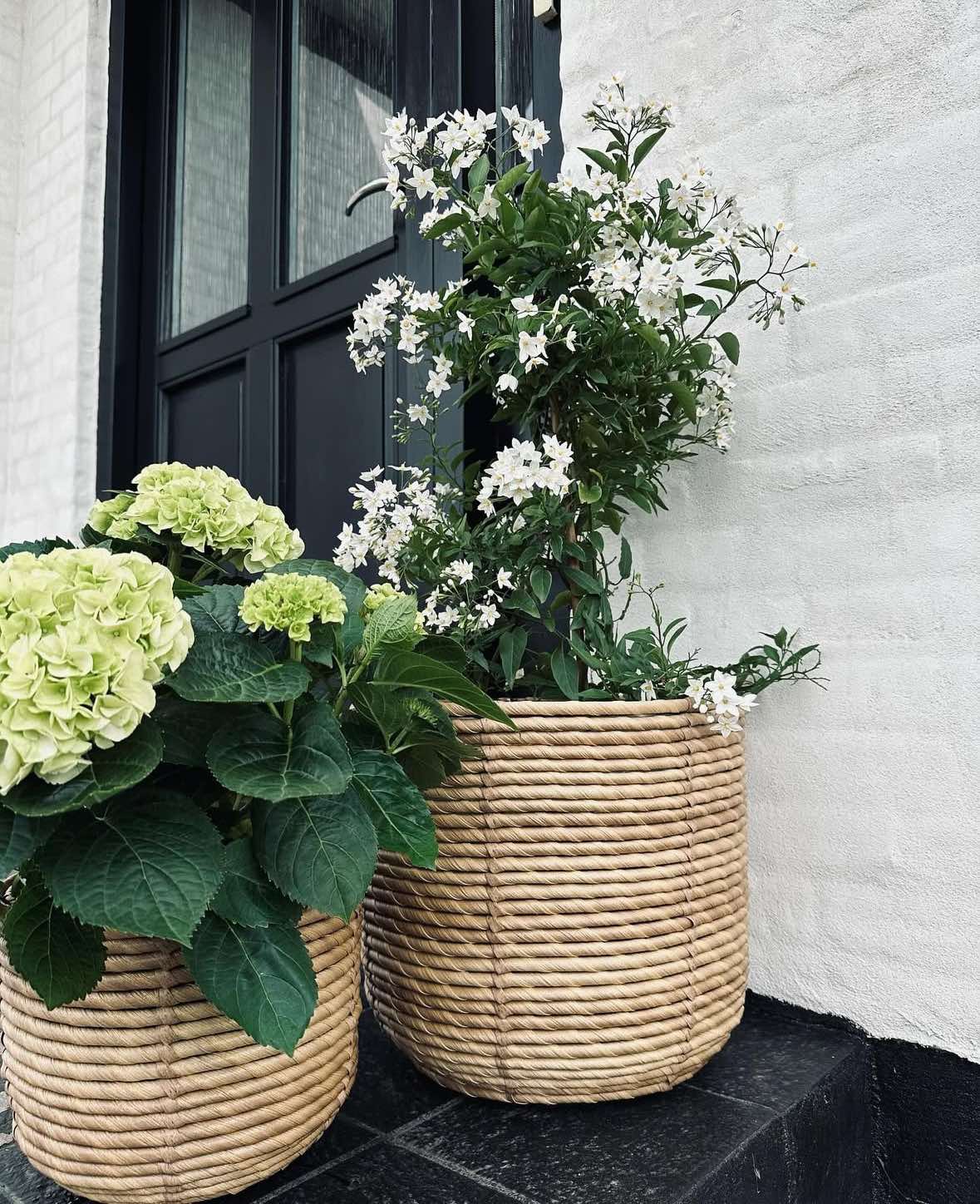 Plantekurver RATTAN BIG - Sett med 3 størrelser