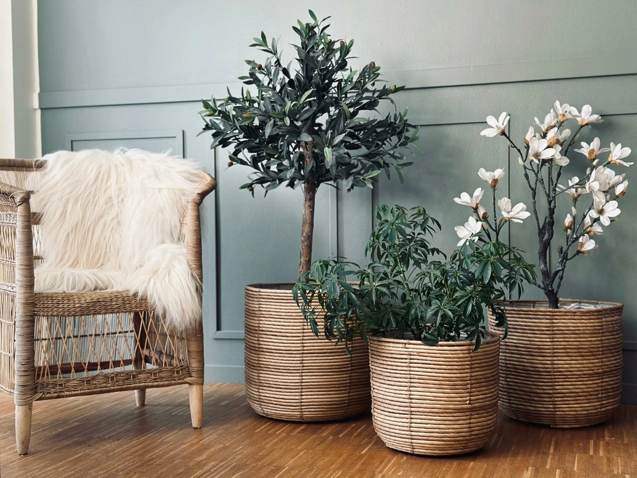 Plantekurver RATTAN BIG - Sett med 3 størrelser - Image 10