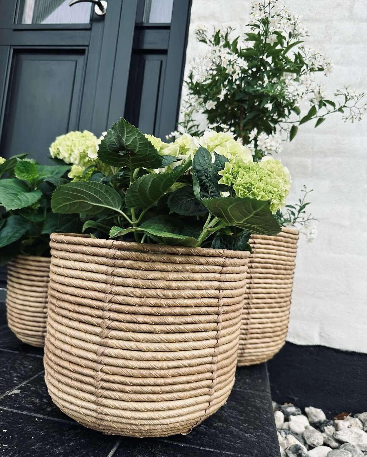 Plantekurver RATTAN BIG - Sett med 3 størrelser - Image 2