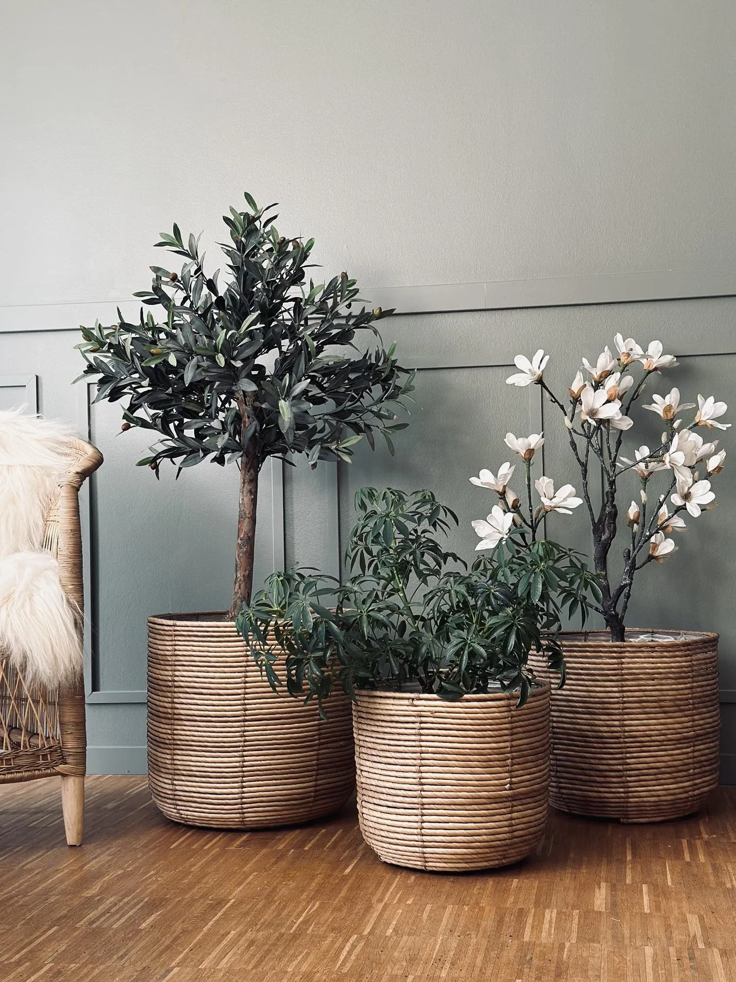 Plantekurver RATTAN BIG - Sett med 3 størrelser - Image 7