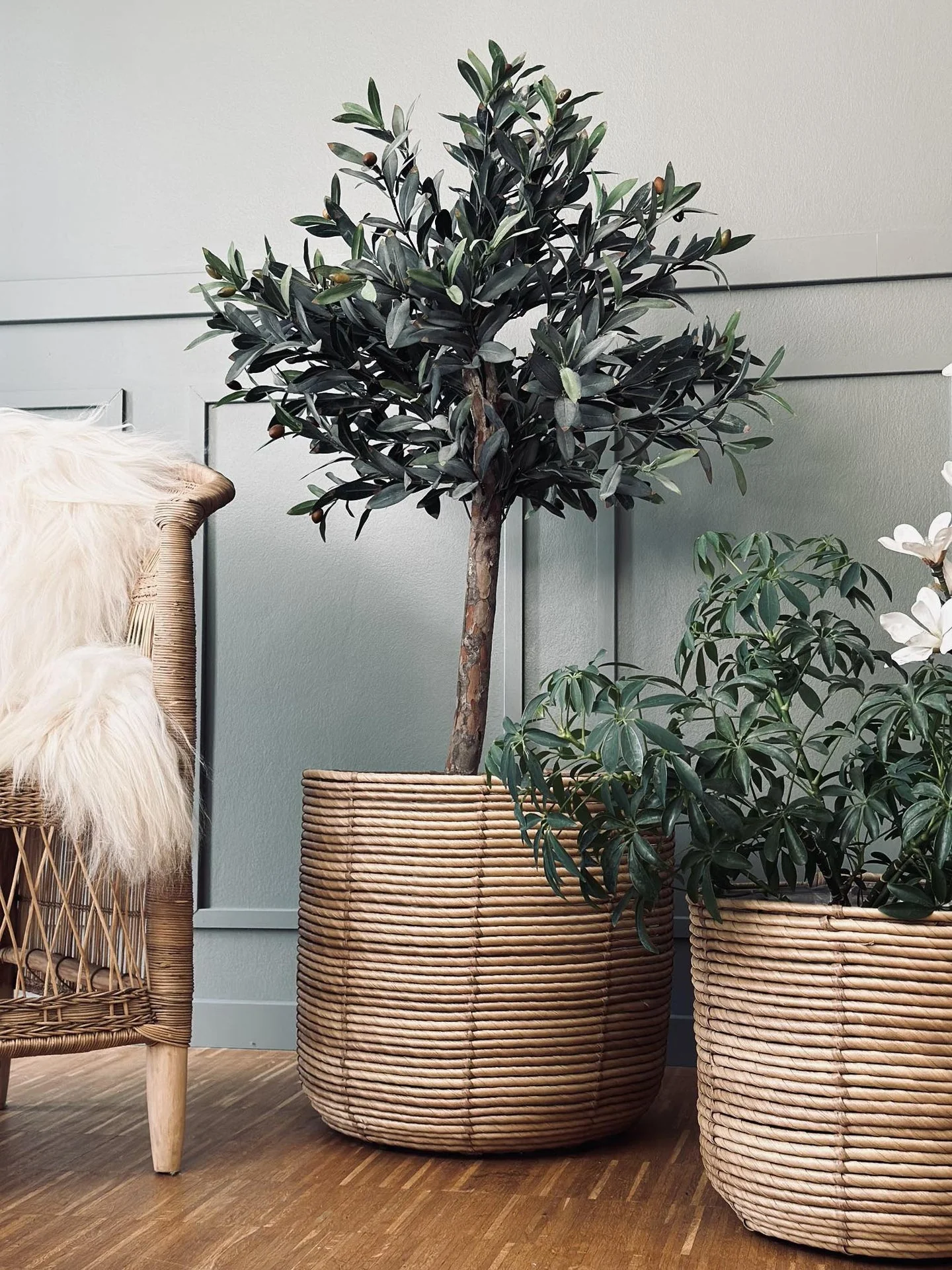 Plantekurver RATTAN BIG - Sett med 3 størrelser - Image 8