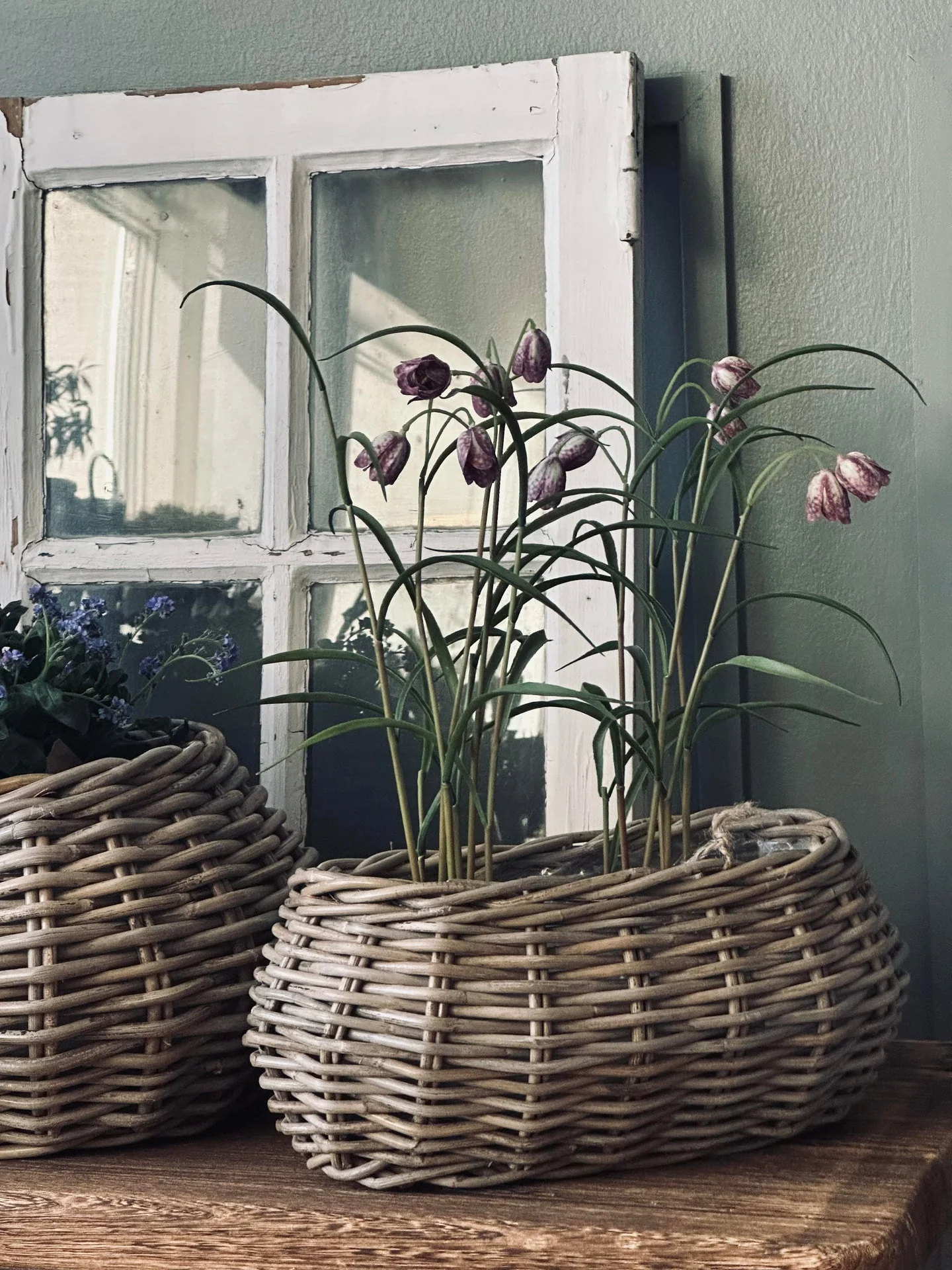 Plantekurver - Sett med 2 stk. Oval rattan - Image 3