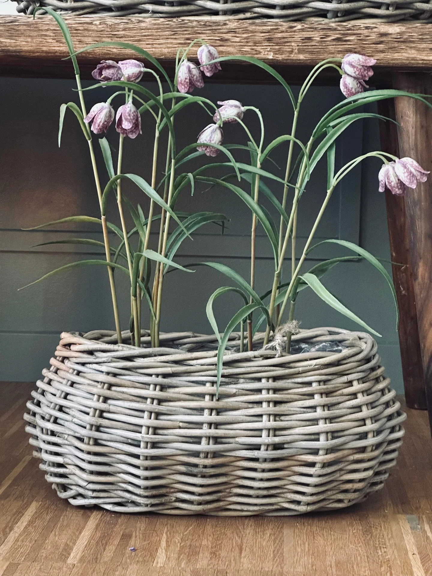 Plantekurver - Sett med 2 stk. Oval rattan - Image 4