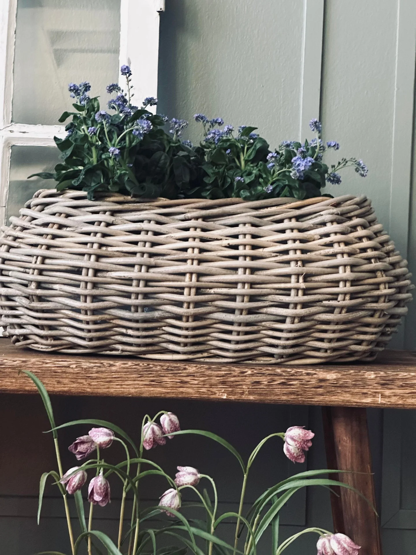 Plantekurver - Sett med 2 stk. Oval rattan - Image 5
