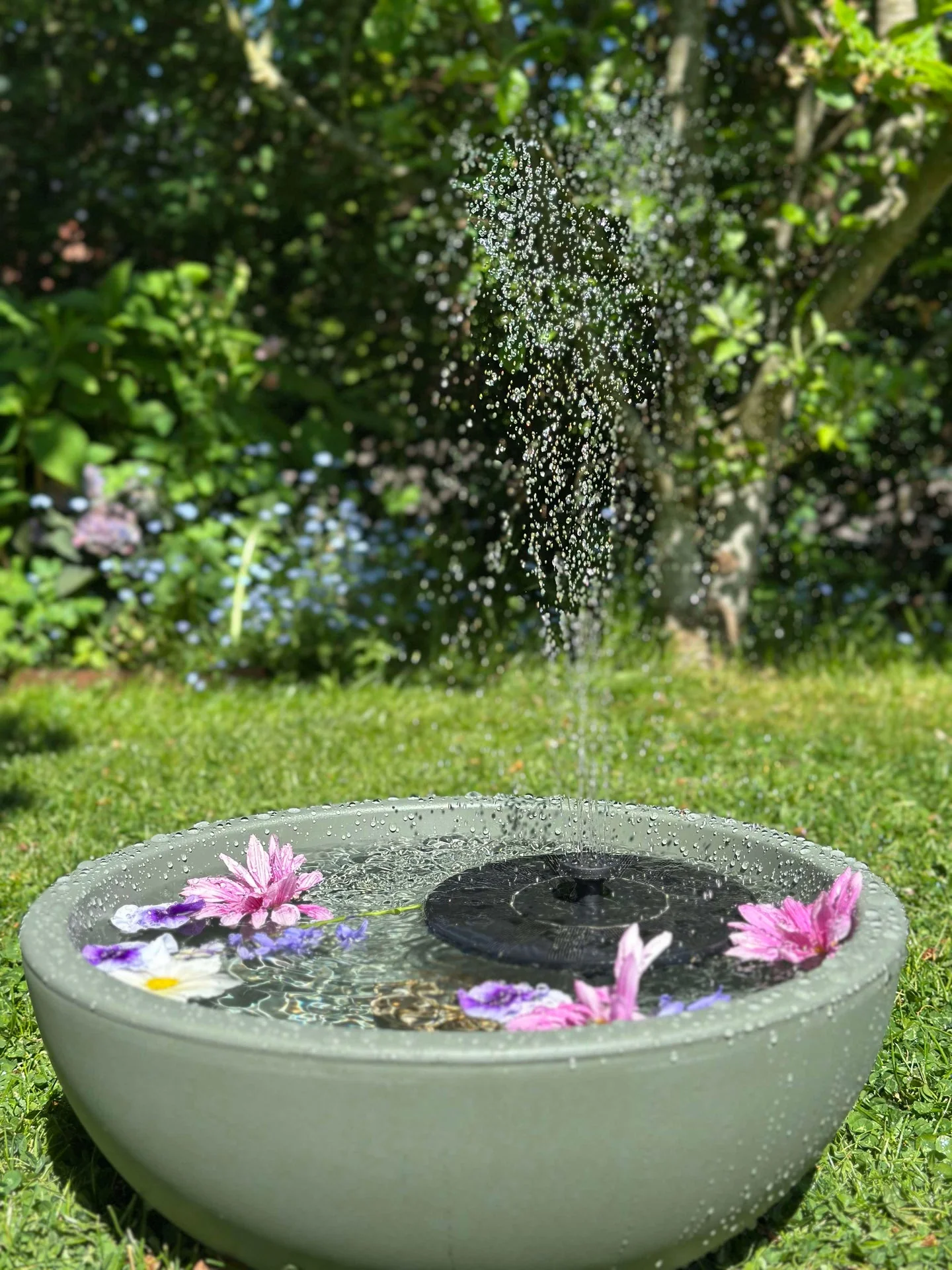 Speilbasseng / Skål dia 40cm - Resirkulert Grønn - Image 9