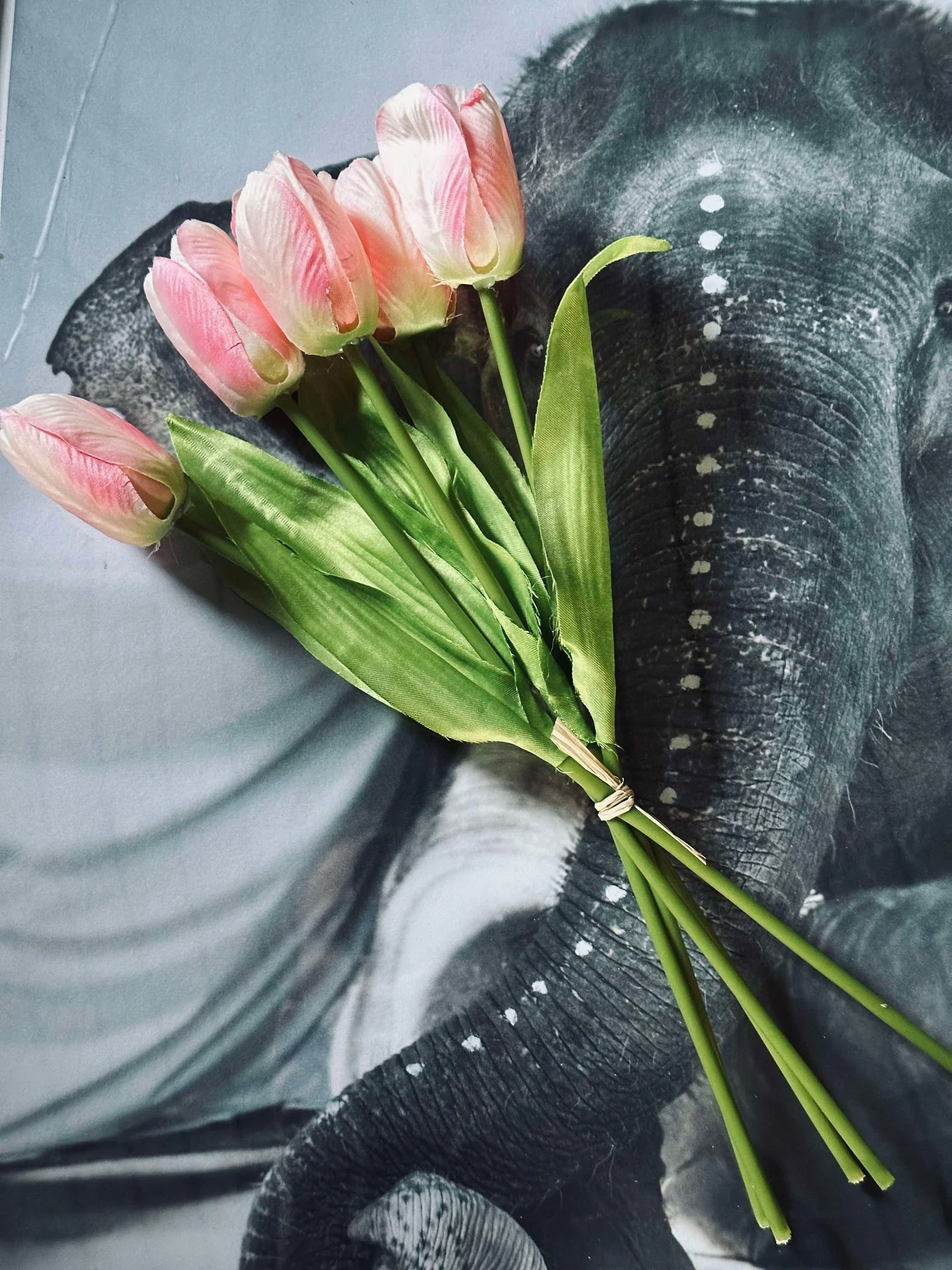 Tulipaner Rosa - Image 8