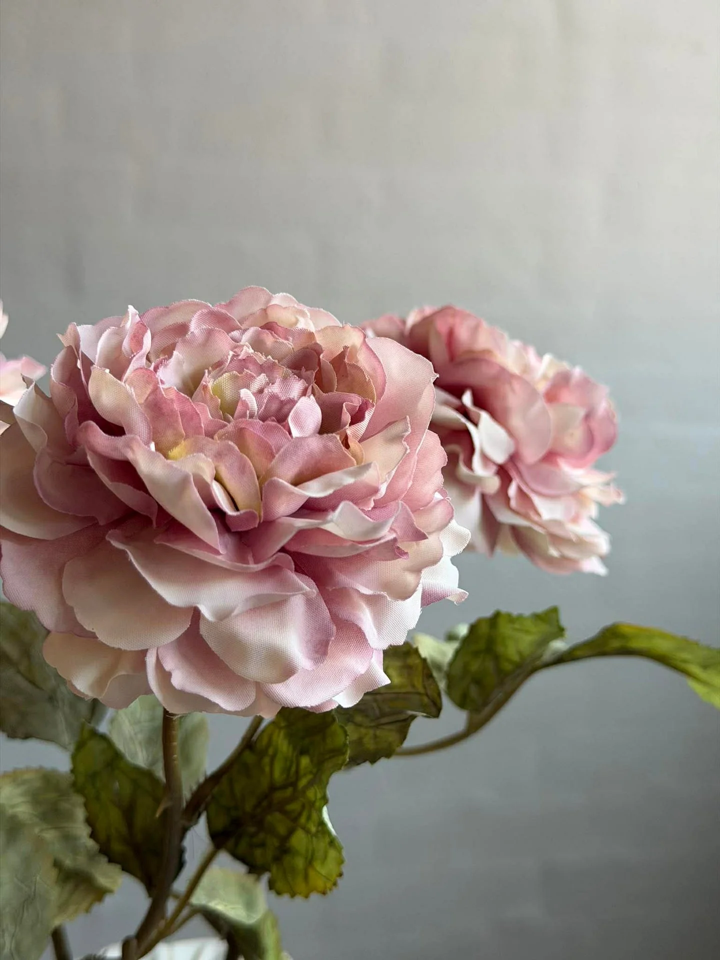 Rose 38 cm – Støvet rosa - Image 6