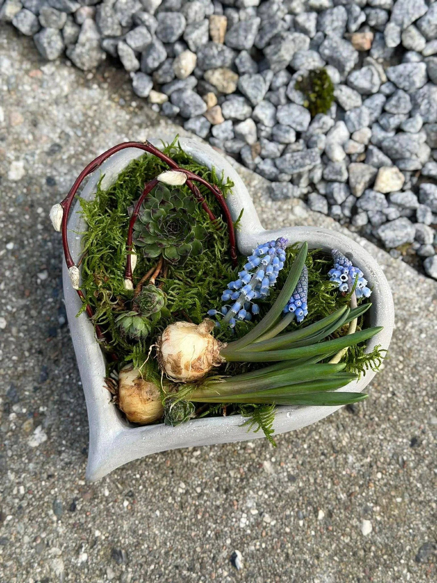 Hjerte til beplantning - Image 6