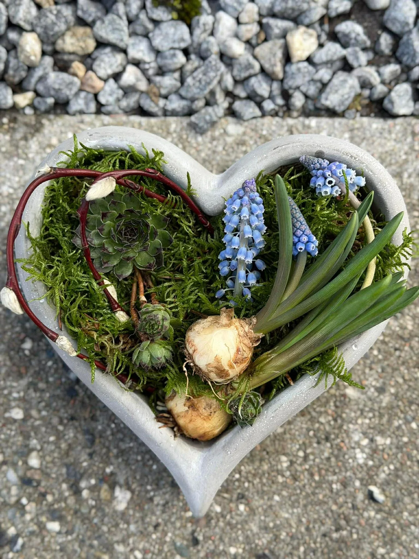 Hjerte til beplantning - Image 7