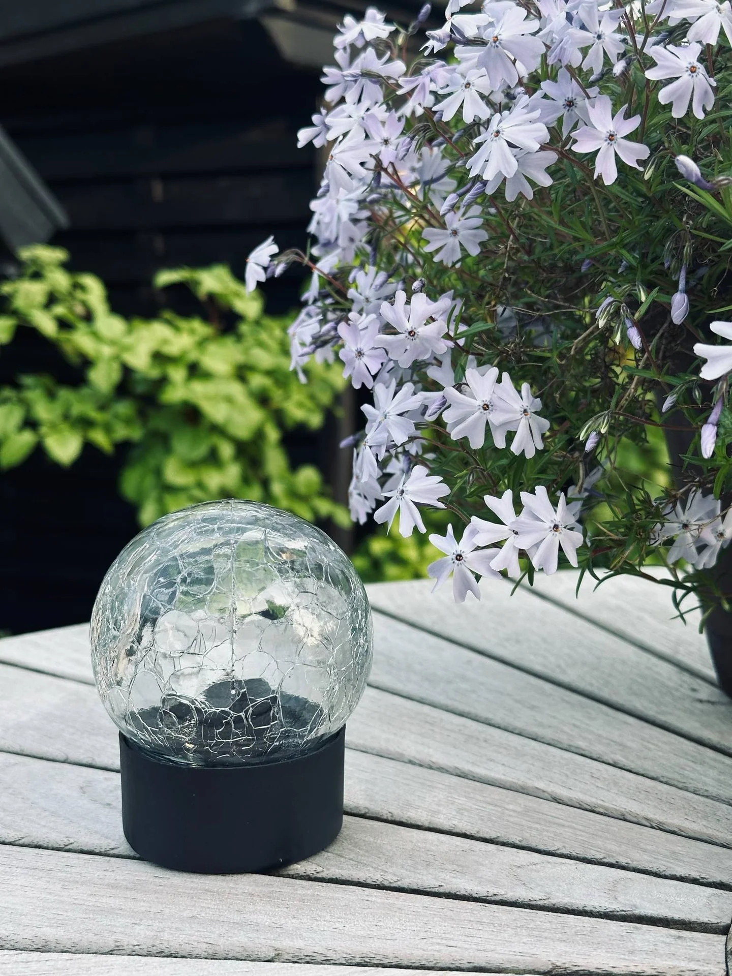 Solcelle glasskule - Svart fot - Image 4
