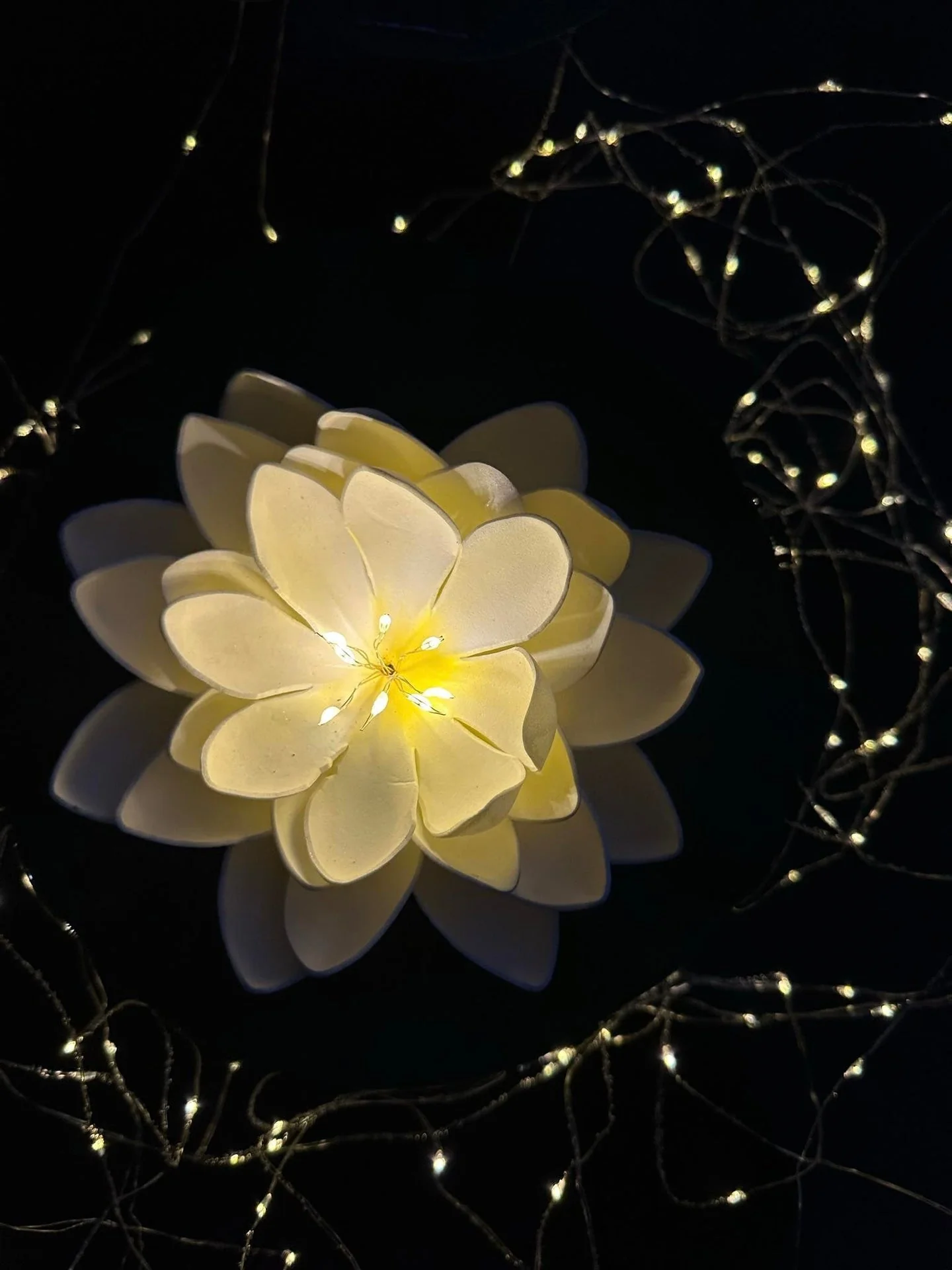 Solcelle LOTUS - Sett av 2 stk - Image 2