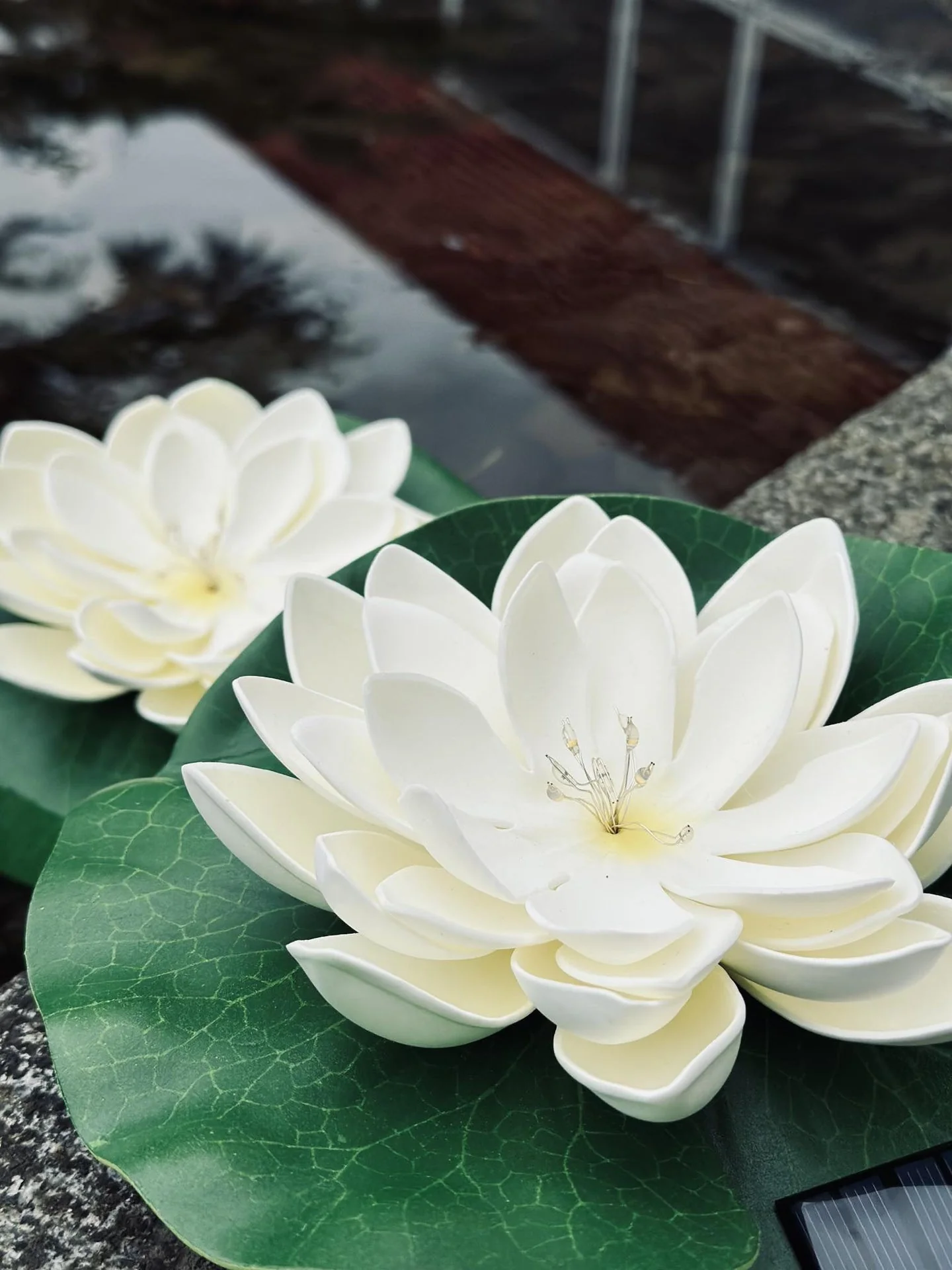 Solcelle LOTUS - Sett av 2 stk - Image 6