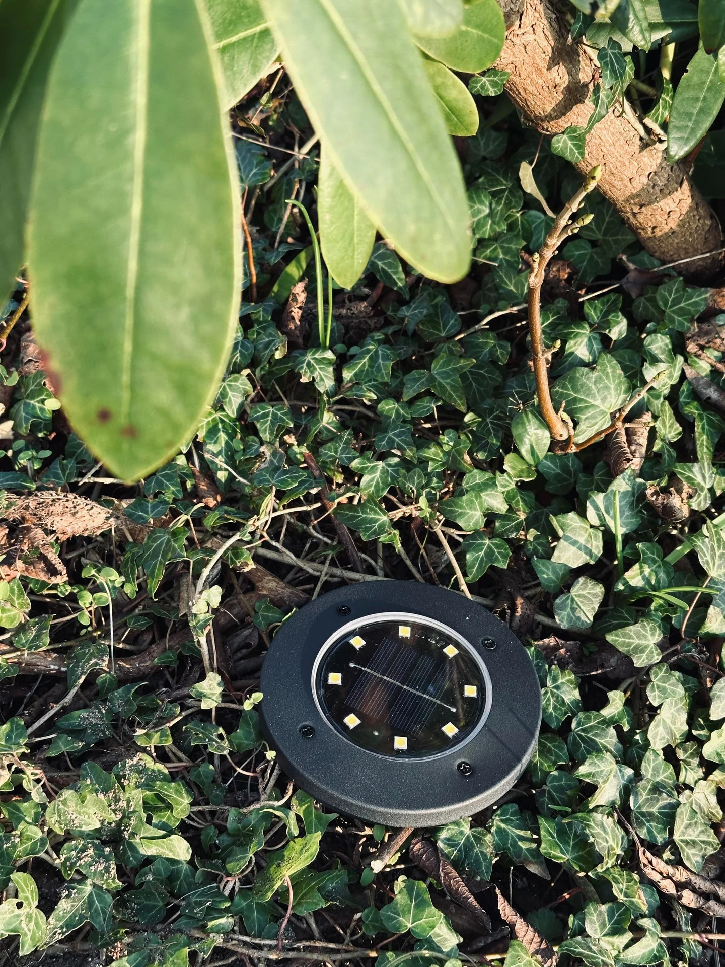 Solcelle spots BLACK – Sett med 4 stk. - Image 8