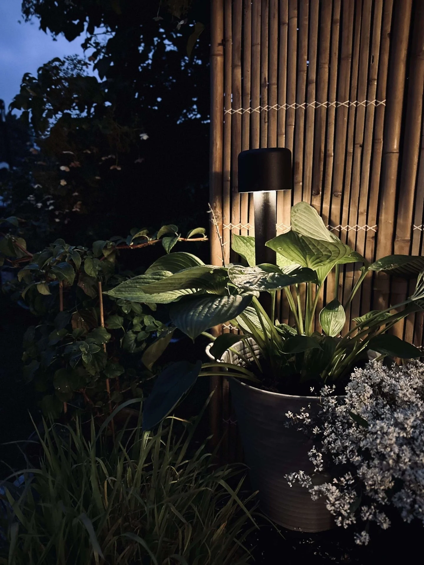 Bedlampe med solceller - Image 5