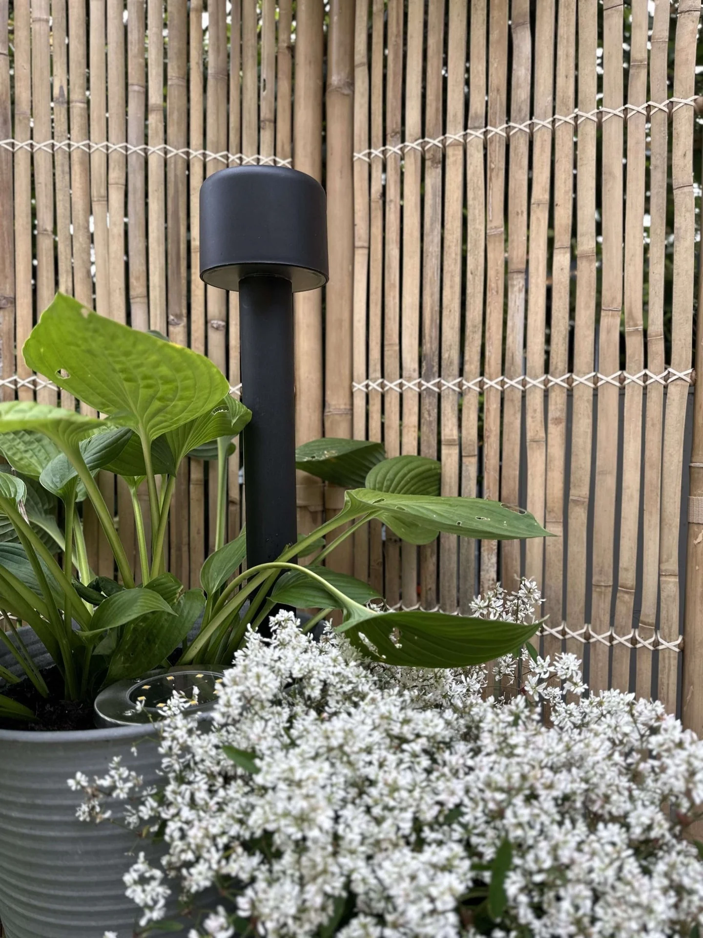 Bedlampe med solceller - Image 8