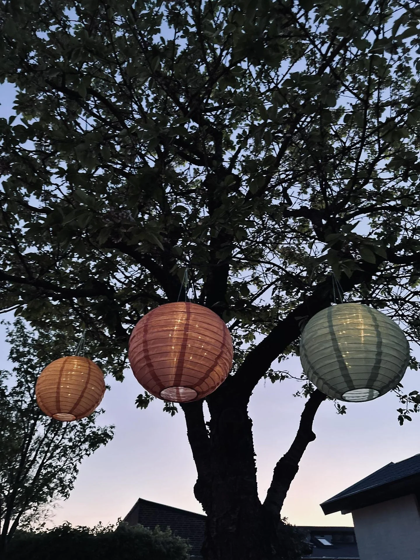 Lampe med solceller Grønn - Image 2