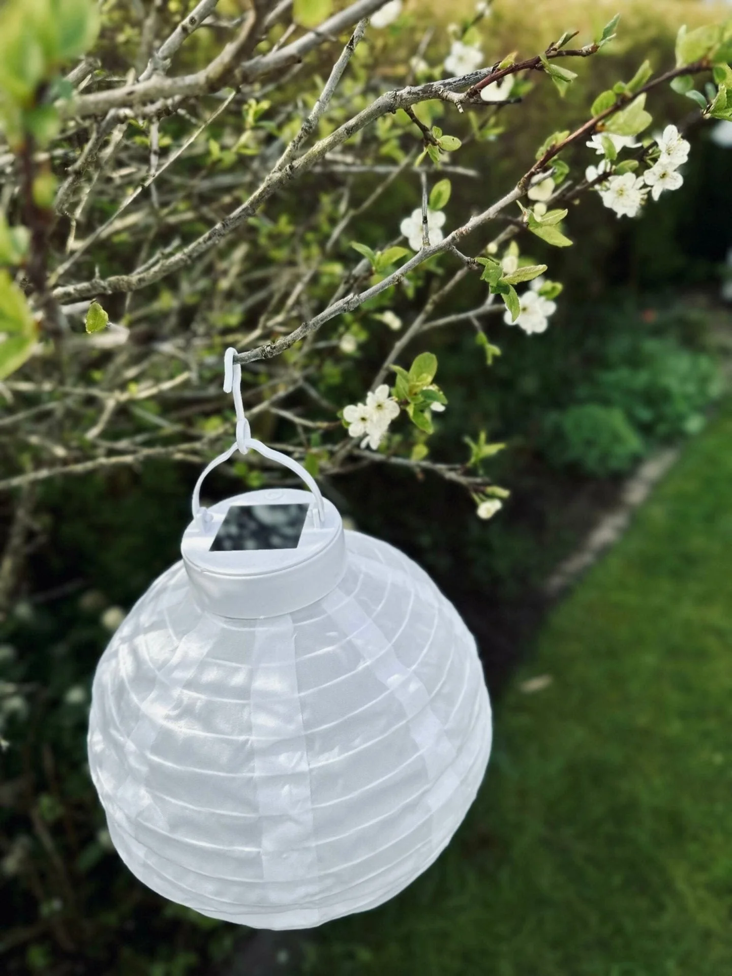 Lampe med solceller – White ball - Image 7